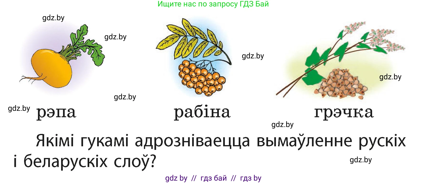 Белорусский язык (Беларуская мова), 2 класс Учебник, автор: Свірыдзенка Вольга Іванаўна, издательство Акадэмія адукацыі, Минск, 2025, голубого цвета, Частка 1, страница 46, номер 90, Условие (продолжение 2)