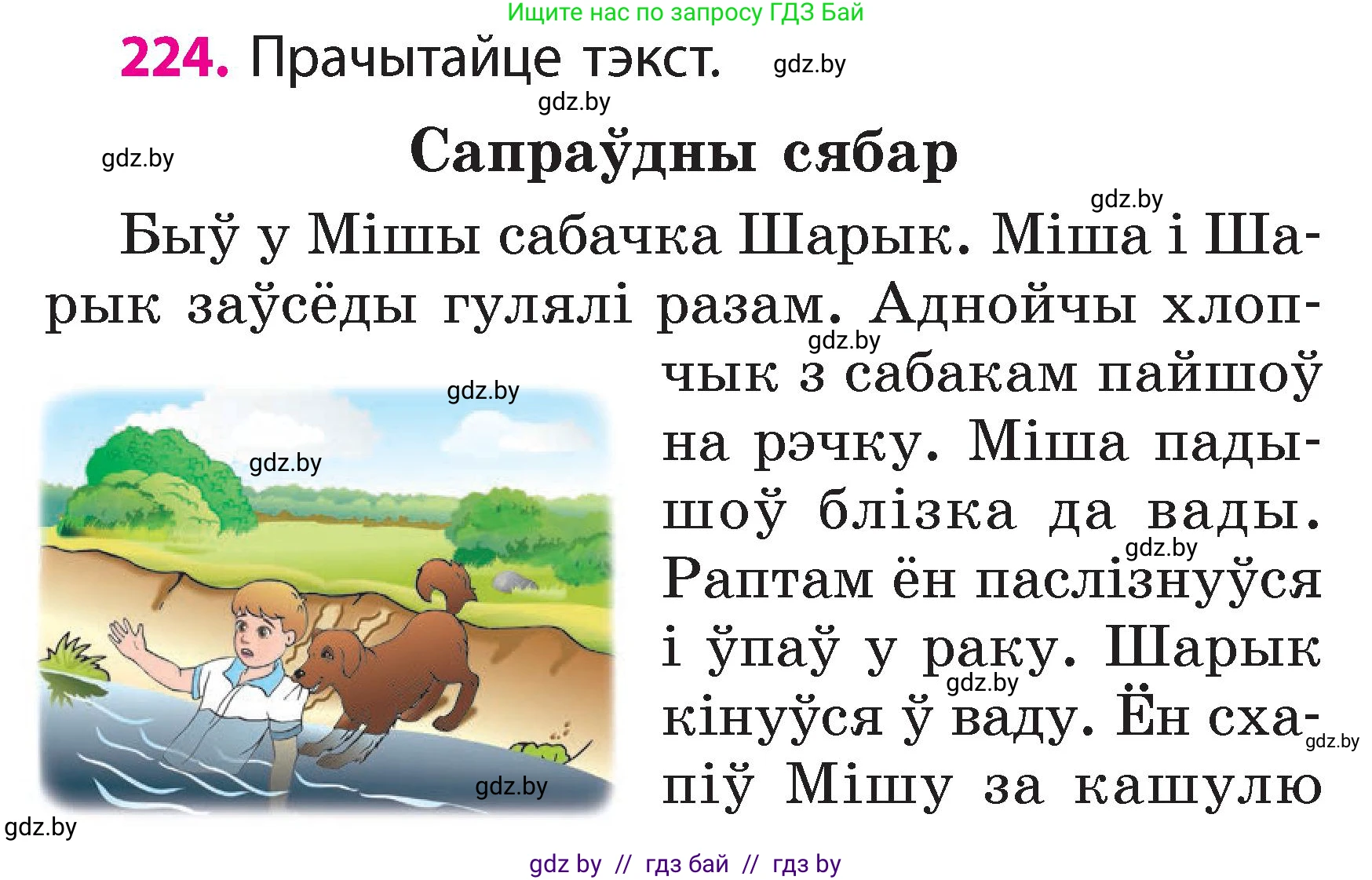 Белорусский язык (Беларуская мова), 2 класс Учебник, автор: Свірыдзенка Вольга Іванаўна, издательство Акадэмія адукацыі, Минск, 2025, голубого цвета, Частка 2, страница 120, номер 224, Условие