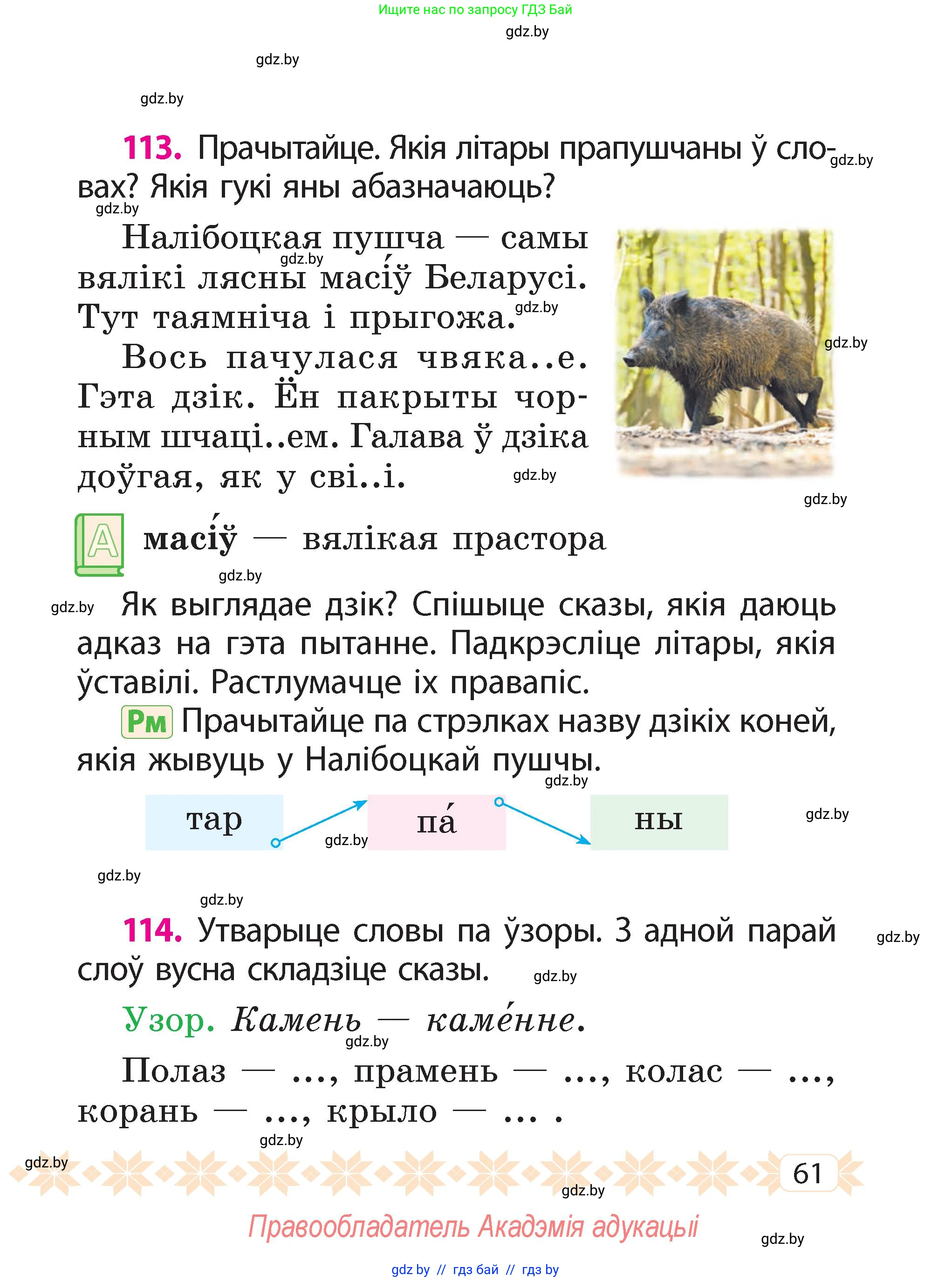 Белорусский язык (Беларуская мова), 2 класс Учебник, автор: Свірыдзенка Вольга Іванаўна, издательство Акадэмія адукацыі, Минск, 2025, голубого цвета, Частка 2, страница 33, номер 61, Условие