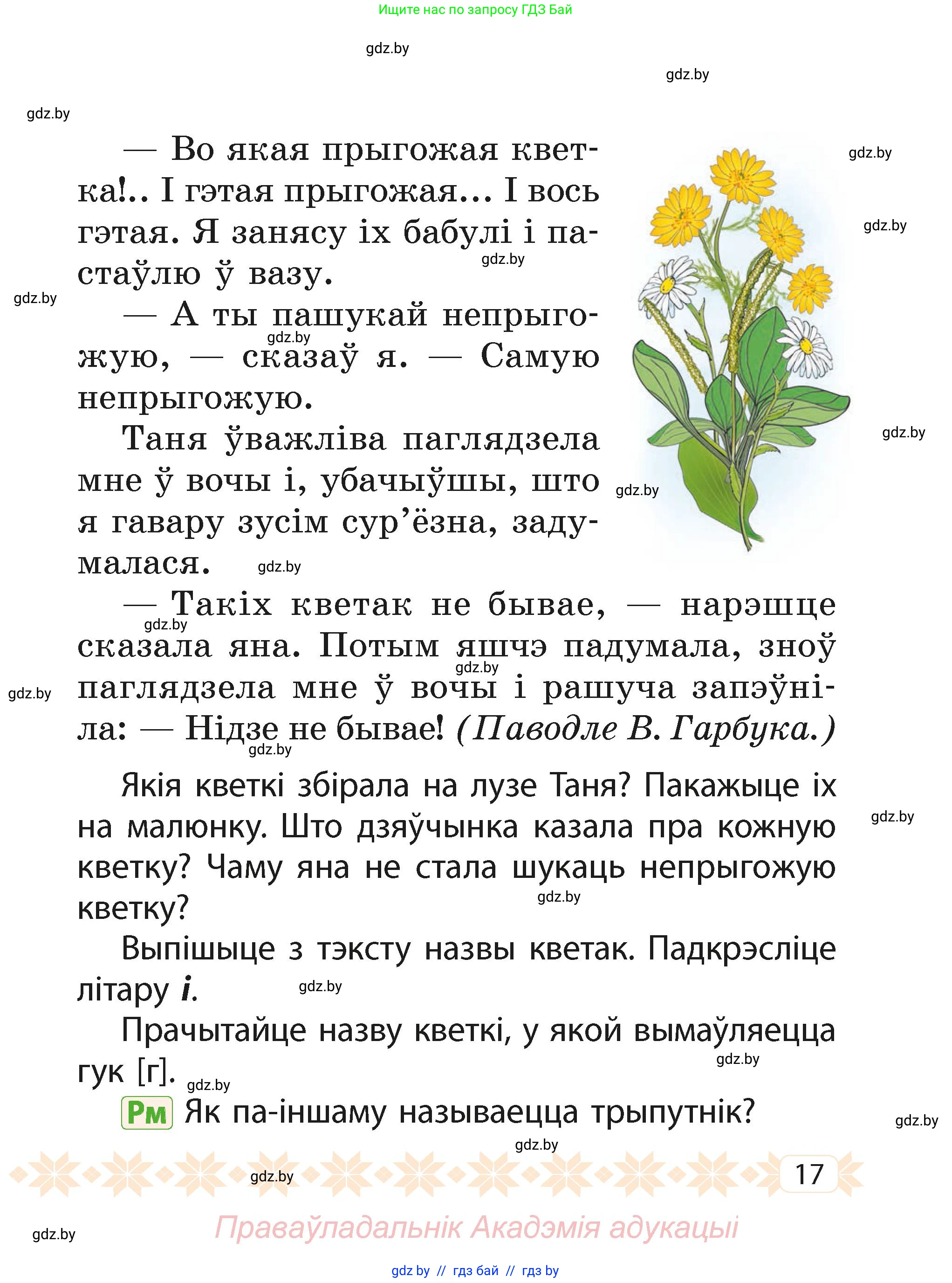 Белорусский язык (Беларуская мова), 2 класс Учебник, автор: Свірыдзенка Вольга Іванаўна, издательство Акадэмія адукацыі, Минск, 2025, голубого цвета, Частка 1, страница 17