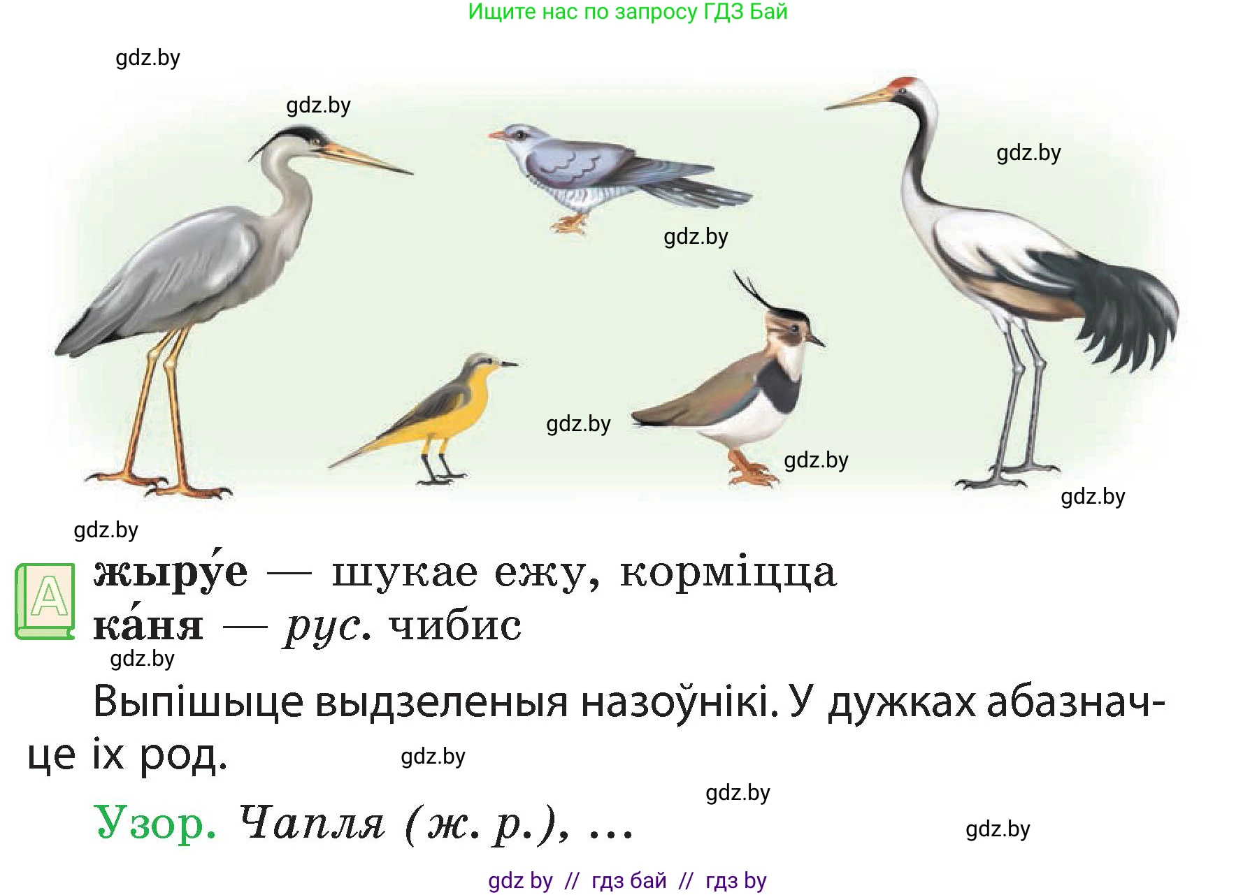 Белорусский язык (Беларуская мова), 3 класс Учебник, автор: Свірыдзенка Вольга Іванаўна, издательство Нацыянальны інстытут адукацыі, Минск, 2023, зелёного цвета, Частка 2, страница 62, номер 105, Условие (продолжение 2)