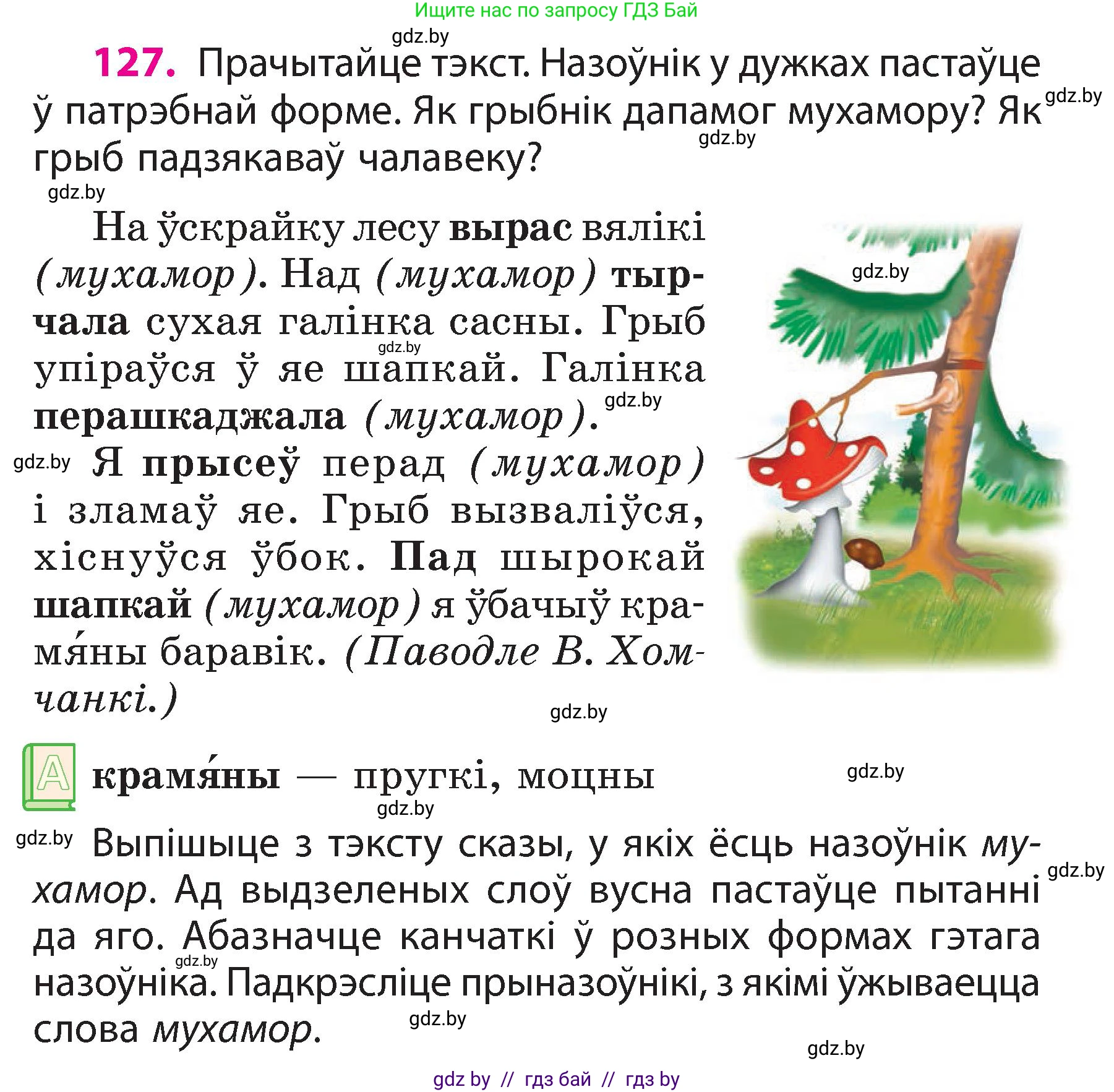 Белорусский язык (Беларуская мова), 3 класс Учебник, автор: Свірыдзенка Вольга Іванаўна, издательство Нацыянальны інстытут адукацыі, Минск, 2023, зелёного цвета, Частка 2, страница 75, номер 127, Условие