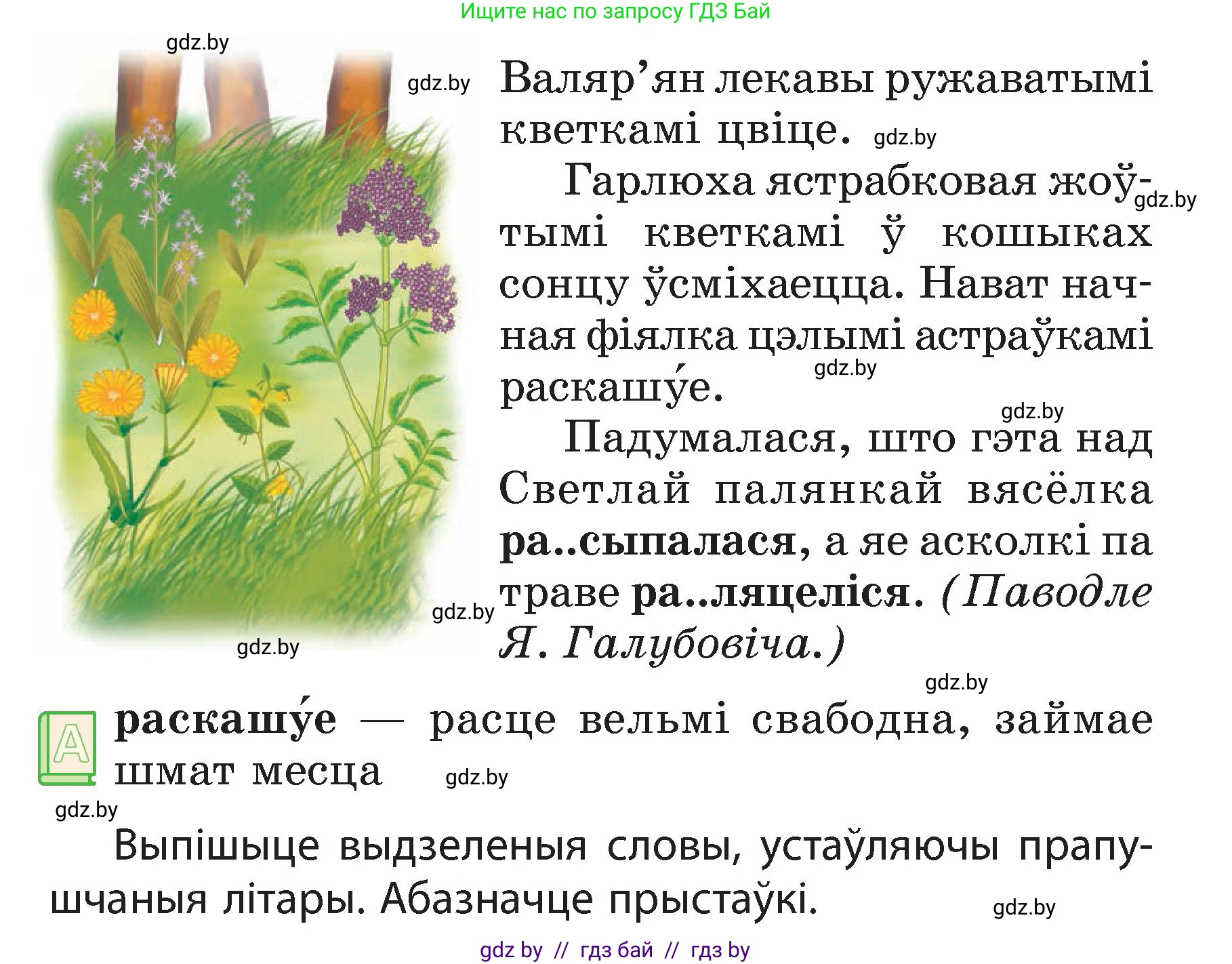 Белорусский язык (Беларуская мова), 3 класс Учебник, автор: Свірыдзенка Вольга Іванаўна, издательство Нацыянальны інстытут адукацыі, Минск, 2023, зелёного цвета, Частка 2, страница 21, номер 36, Условие (продолжение 2)