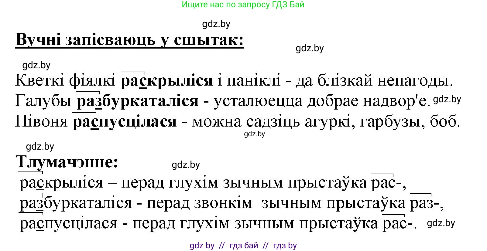 Белорусский язык (Беларуская мова), 3 класс Учебник, автор: Свірыдзенка Вольга Іванаўна, издательство Нацыянальны інстытут адукацыі, Минск, 2023, зелёного цвета, Частка 2, страница 19, номер 31, Решение (продолжение 2)