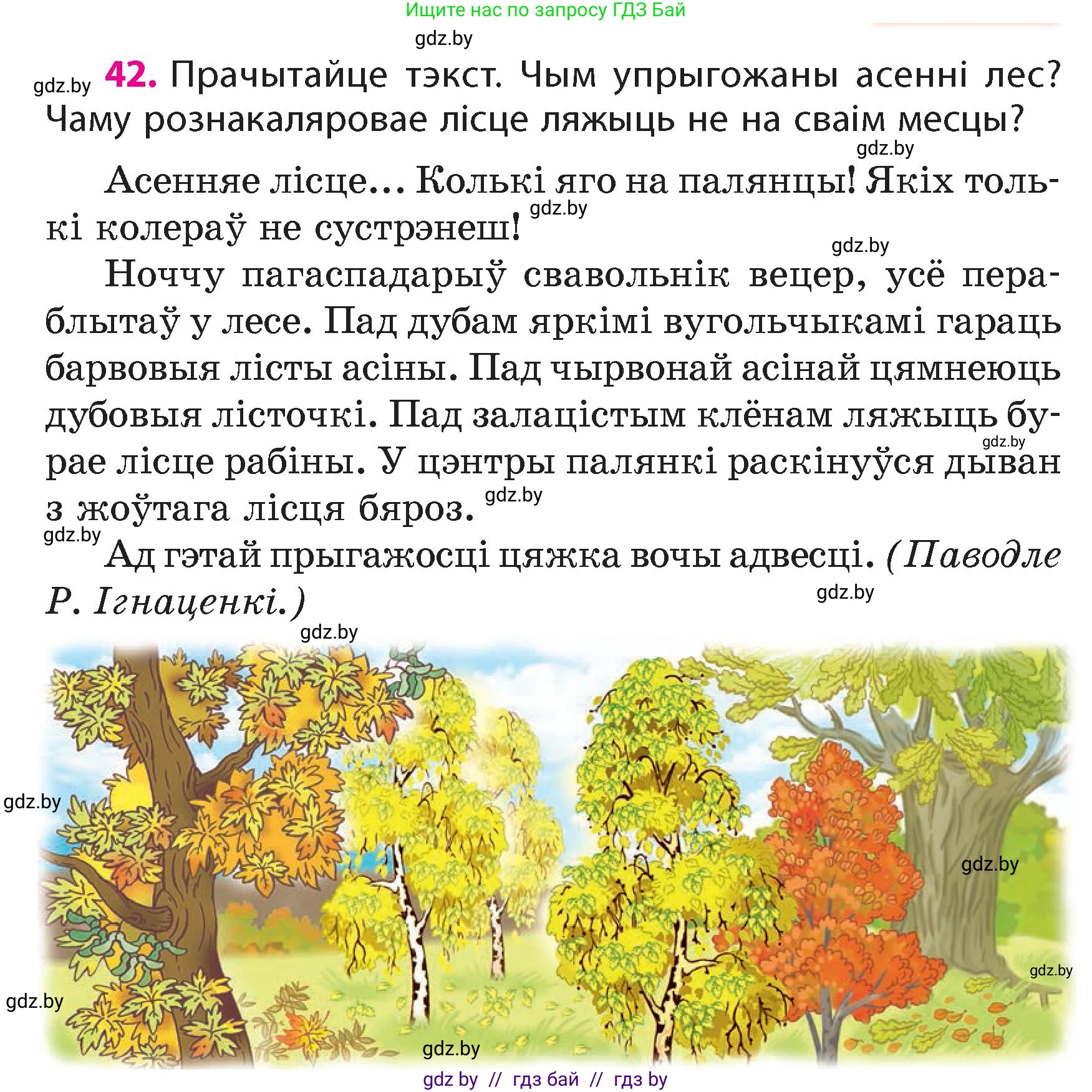 Белорусский язык (Беларуская мова), 4 класс Учебник, автор: Свірыдзенка Вольга Іванаўна, издательство Нацыянальны інстытут адукацыі, Минск, 2024, голубого цвета, Частка 1, страница 30, номер 42, Условие 2024