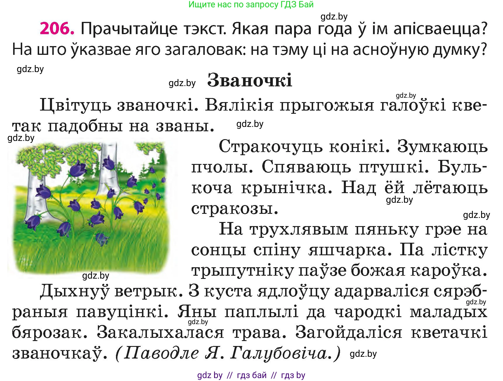 Белорусский язык (Беларуская мова), 4 класс Учебник, автор: Свірыдзенка Вольга Іванаўна, издательство Нацыянальны інстытут адукацыі, Минск, 2024, голубого цвета, Частка 2, страница 116, номер 206, Условие 2024