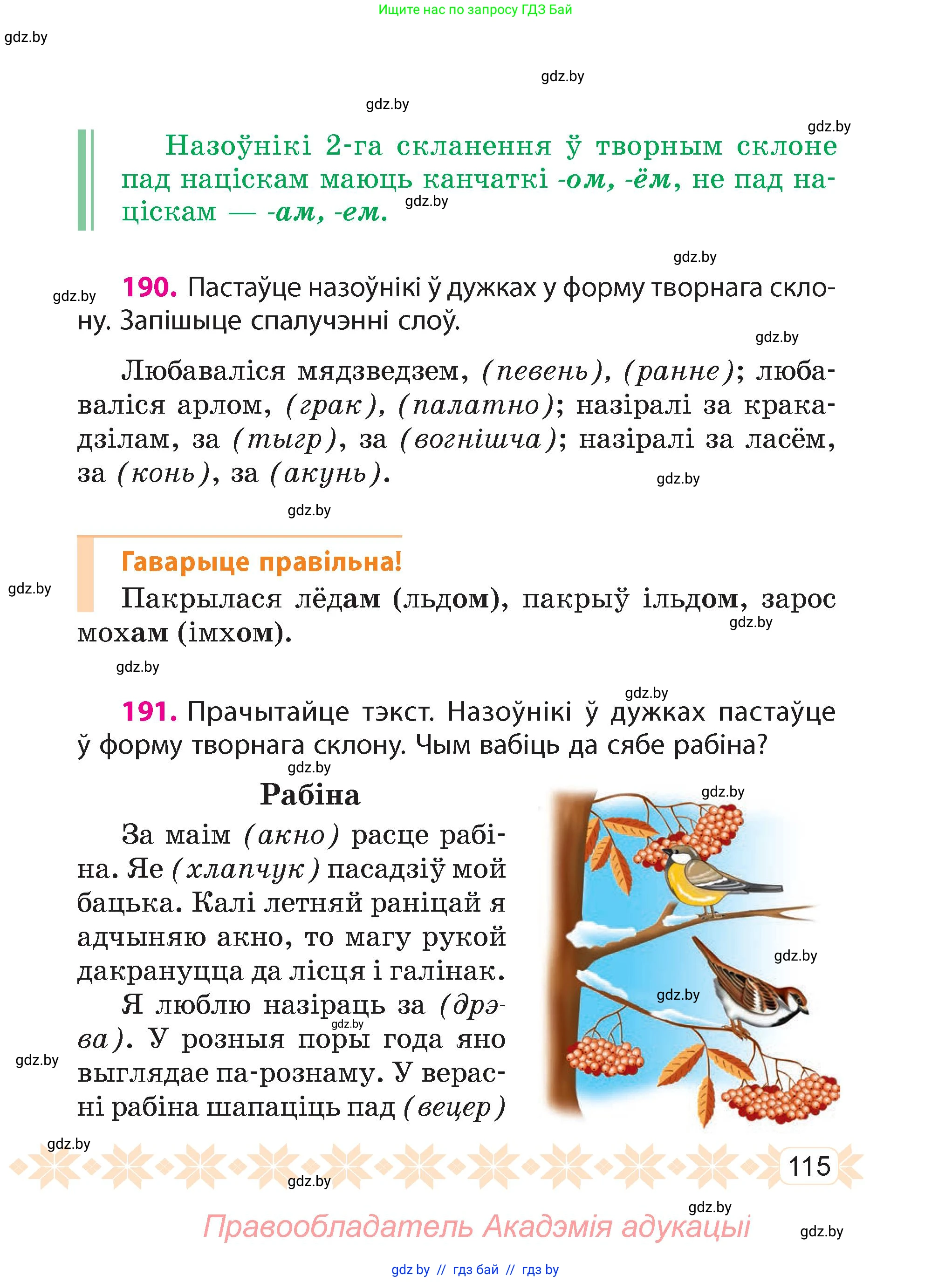 Белорусский язык (Беларуская мова), 4 класс Учебник, автор: Свірыдзенка Вольга Іванаўна, издательство Нацыянальны інстытут адукацыі, Минск, 2024, голубого цвета, Частка 1, страница 115