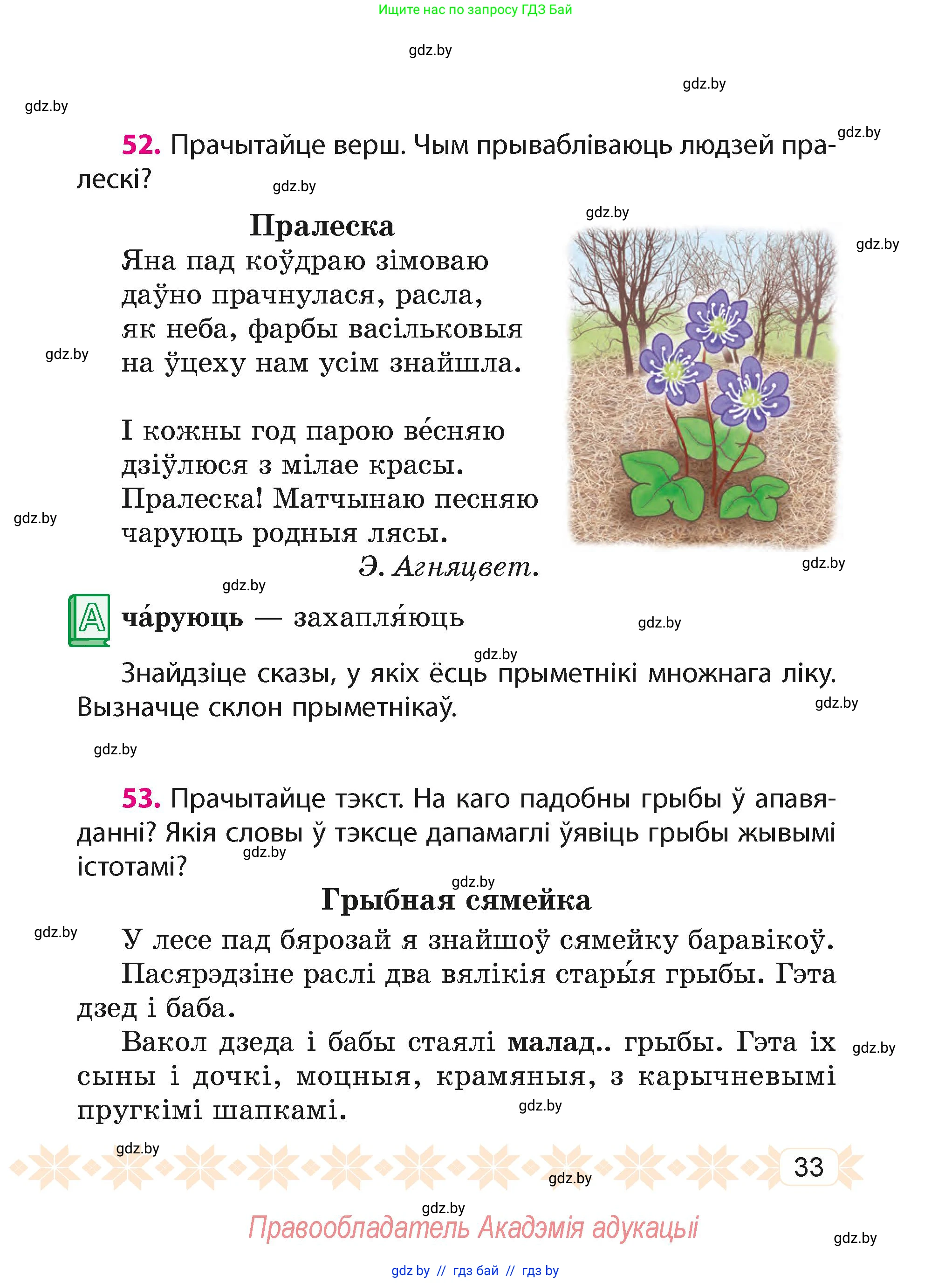 Белорусский язык (Беларуская мова), 4 класс Учебник, автор: Свірыдзенка Вольга Іванаўна, издательство Нацыянальны інстытут адукацыі, Минск, 2024, голубого цвета, Частка 2, страница 33