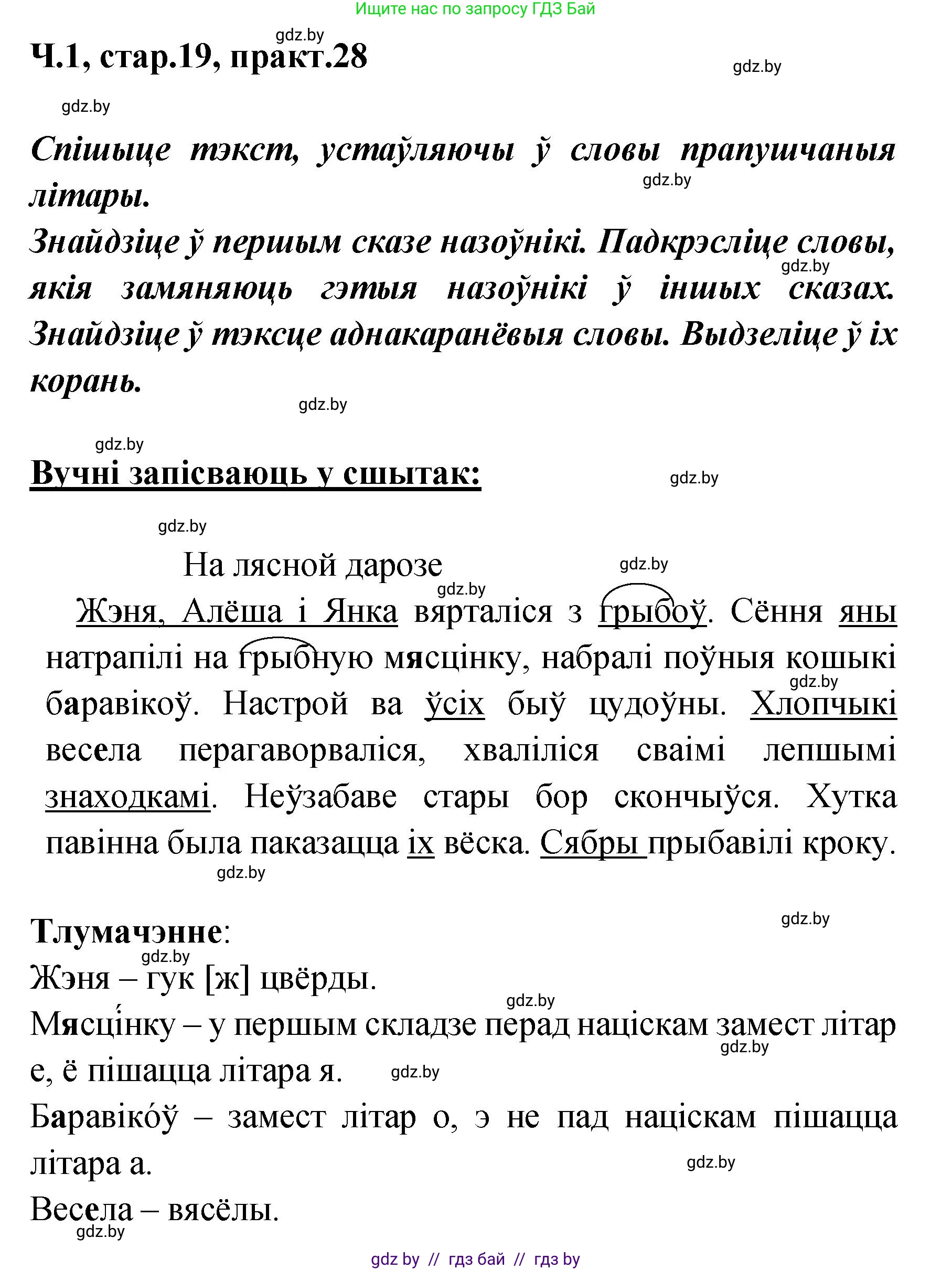 Белорусский язык (Беларуская мова), 4 класс Учебник, автор: Свірыдзенка Вольга Іванаўна, издательство Нацыянальны інстытут адукацыі, Минск, 2024, голубого цвета, Частка 1, страница 19, номер 28, Решение 2024