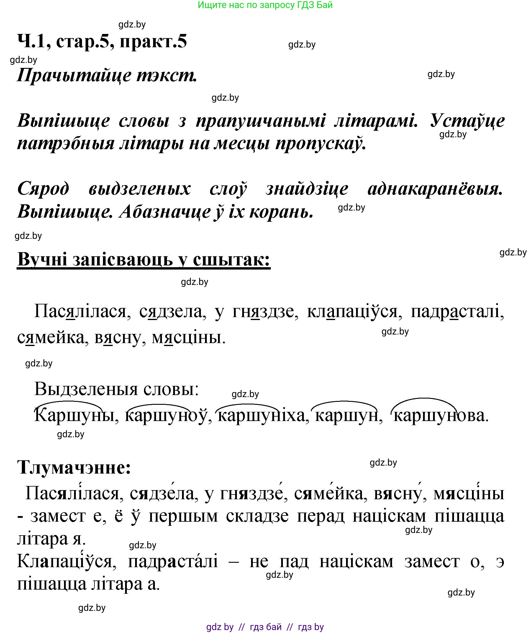 Белорусский язык (Беларуская мова), 4 класс Учебник, автор: Свірыдзенка Вольга Іванаўна, издательство Нацыянальны інстытут адукацыі, Минск, 2024, голубого цвета, Частка 1, страница 5, номер 5, Решение 2024