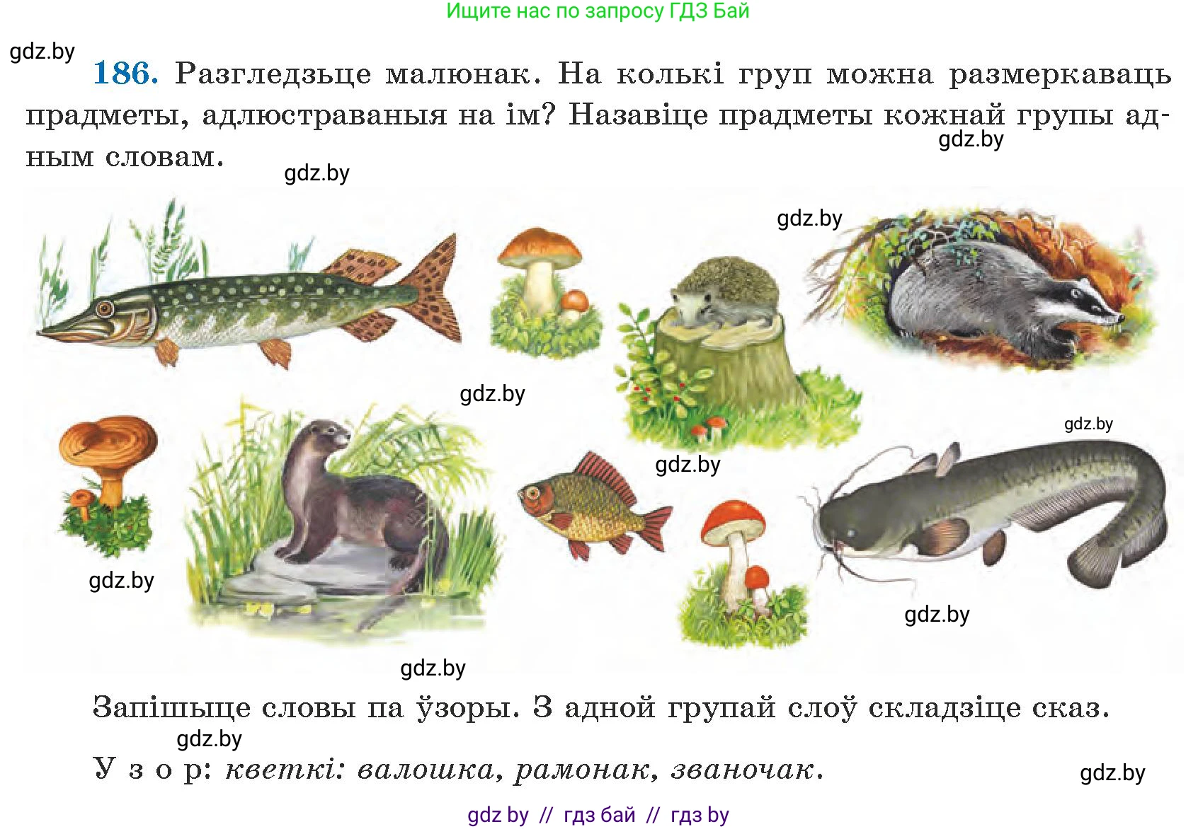 Белорусский язык (Беларуская мова), 5 класс Учебник, авторы: Валочка Ганна Міхайлаўна, Зелянко Вольга Уладзіміраўна, Мартынкевіч Святлана Васільеўна, Якуба Святлана Міхайлаўна, издательство Акадэмія адукацыі, Минск, 2024, голубого цвета, Частка 1, страница 118, номер 186, Условие