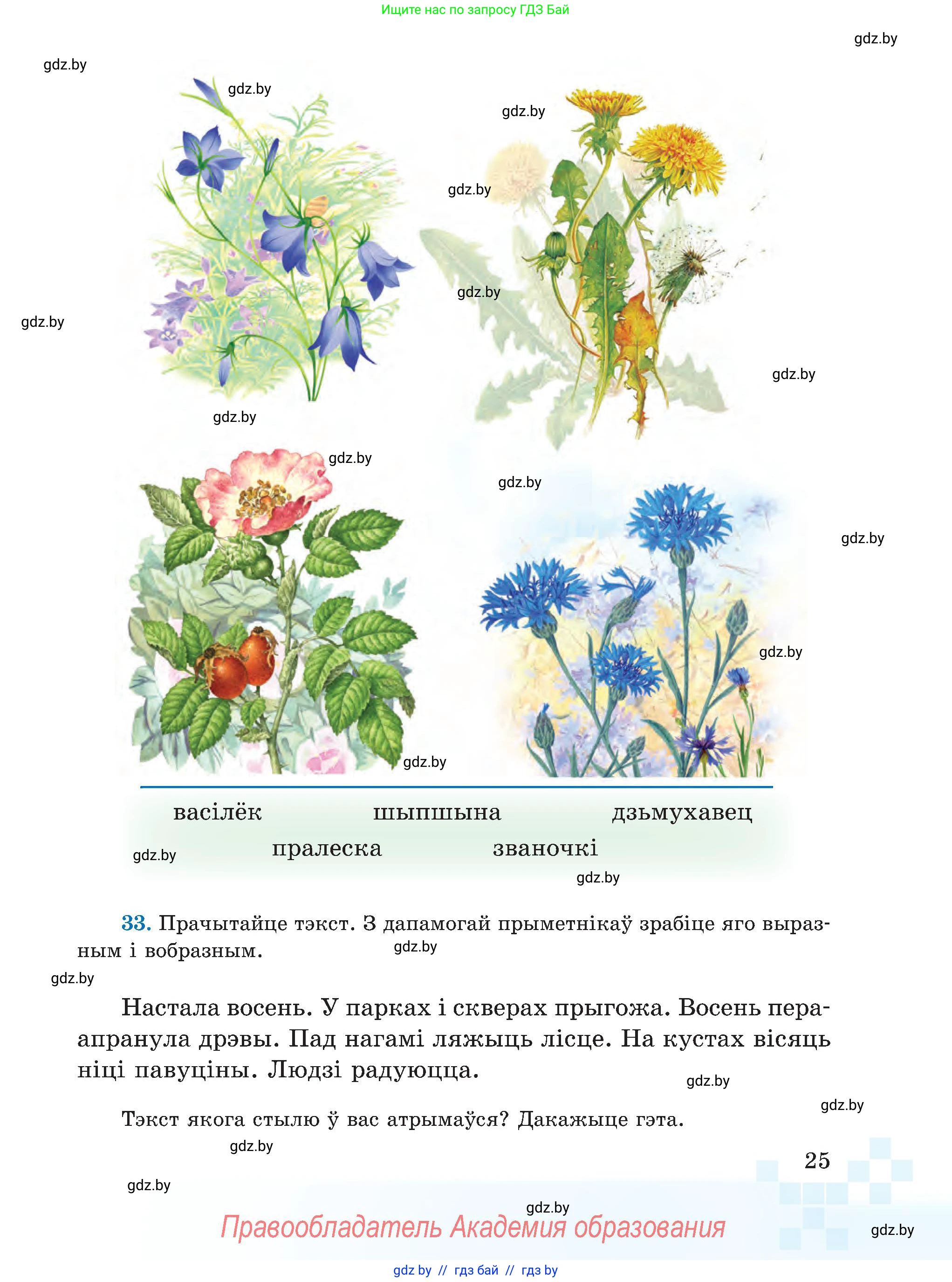 Белорусский язык (Беларуская мова), 5 класс Учебник, авторы: Валочка Ганна Міхайлаўна, Зелянко Вольга Уладзіміраўна, Мартынкевіч Святлана Васільеўна, Якуба Святлана Міхайлаўна, издательство Акадэмія адукацыі, Минск, 2024, голубого цвета, Частка 1, страница 25
