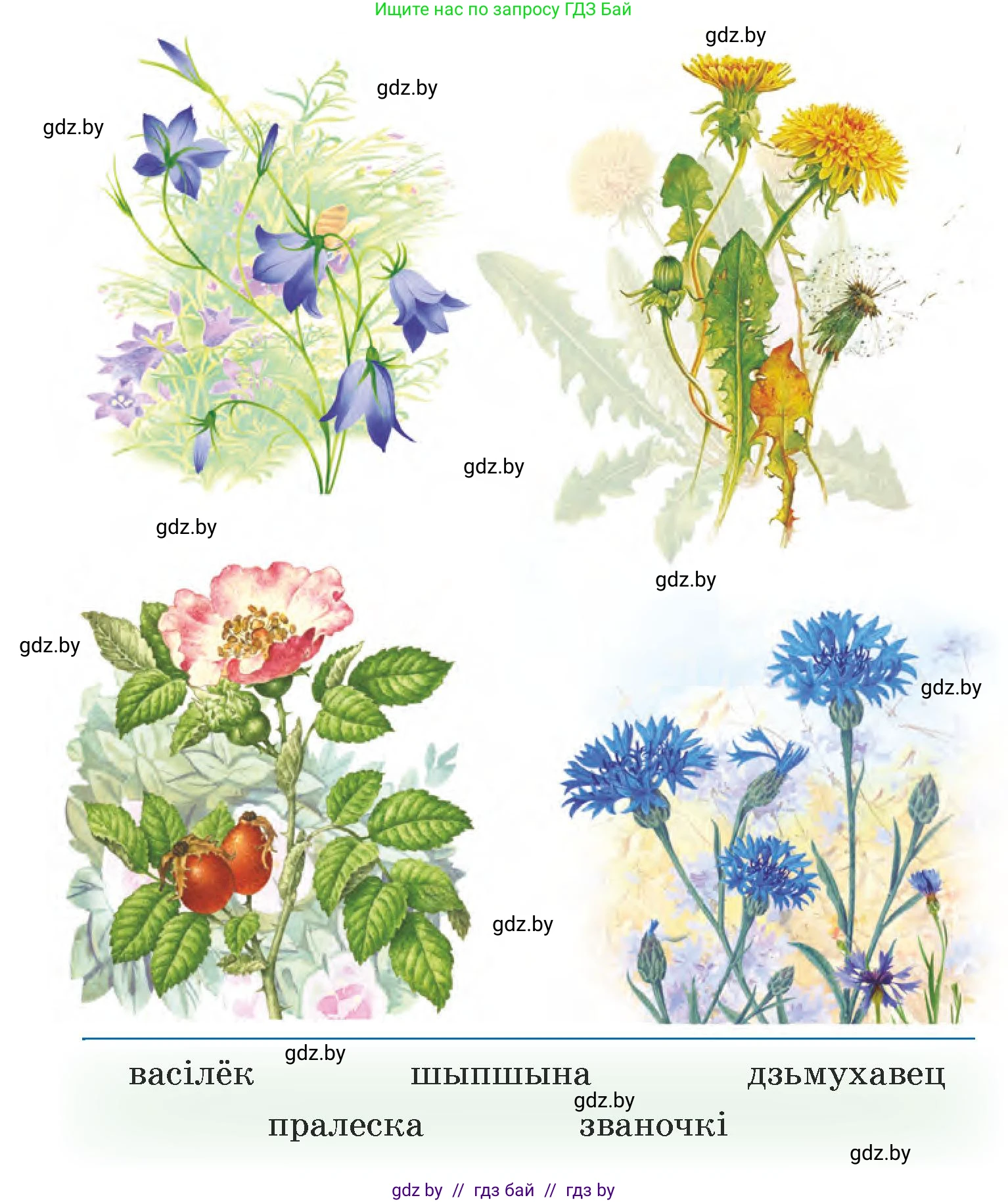 Белорусский язык (Беларуская мова), 5 класс Учебник, авторы: Валочка Ганна Міхайлаўна, Зелянко Вольга Уладзіміраўна, Мартынкевіч Святлана Васільеўна, Якуба Святлана Міхайлаўна, издательство Акадэмія адукацыі, Минск, 2024, голубого цвета, Частка 1, страница 24, номер 32, Условие (продолжение 2)