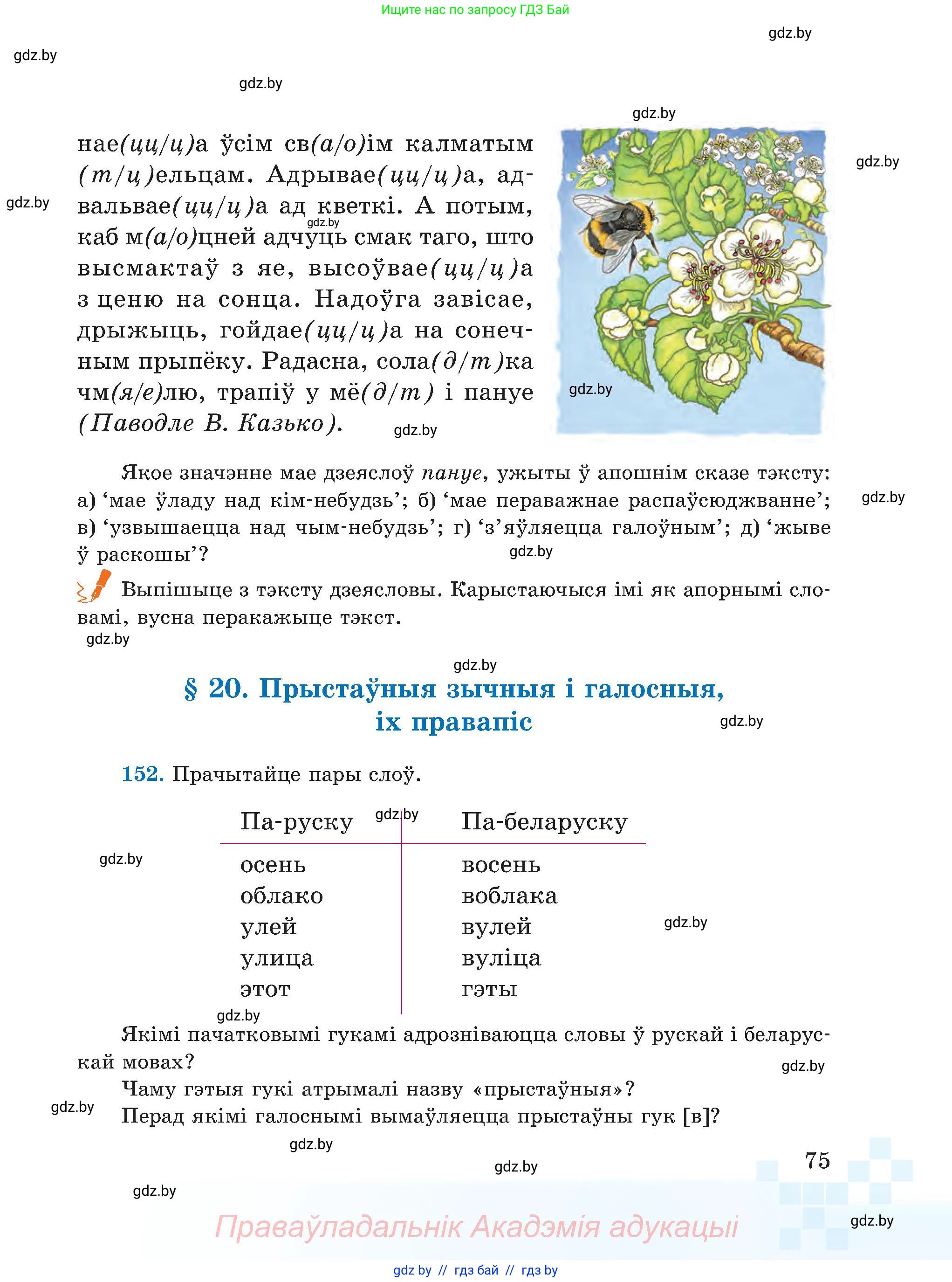 Белорусский язык (Беларуская мова), 5 класс Учебник, авторы: Валочка Ганна Міхайлаўна, Зелянко Вольга Уладзіміраўна, Мартынкевіч Святлана Васільеўна, Якуба Святлана Міхайлаўна, издательство Акадэмія адукацыі, Минск, 2024, голубого цвета, Частка 2, страница 40, номер 75, Условие