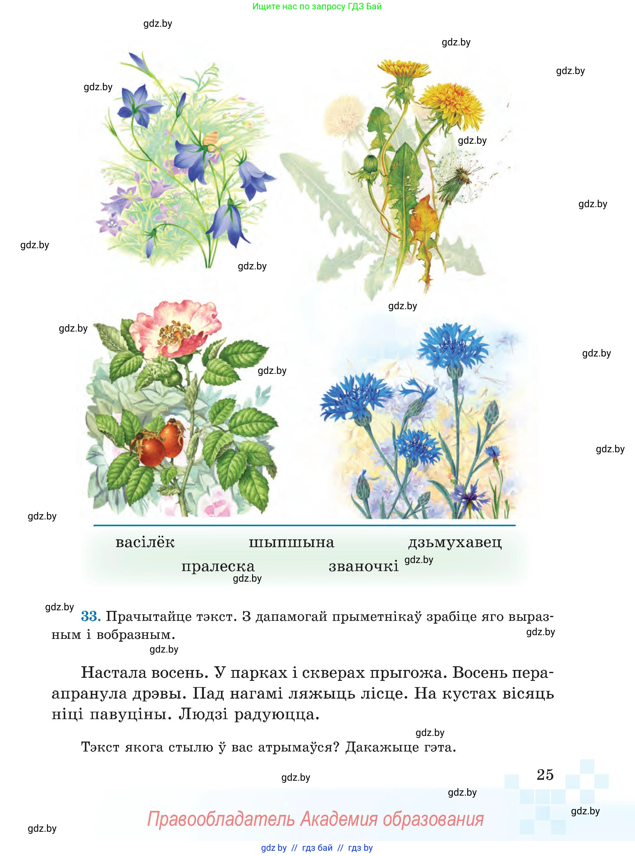 Белорусский язык (Беларуская мова), 5 класс Учебник, авторы: Валочка Ганна Міхайлаўна, Зелянко Вольга Уладзіміраўна, Мартынкевіч Святлана Васільеўна, Якуба Святлана Міхайлаўна, издательство Акадэмія адукацыі, Минск, 2024, голубого цвета, Частка 1, страница 25