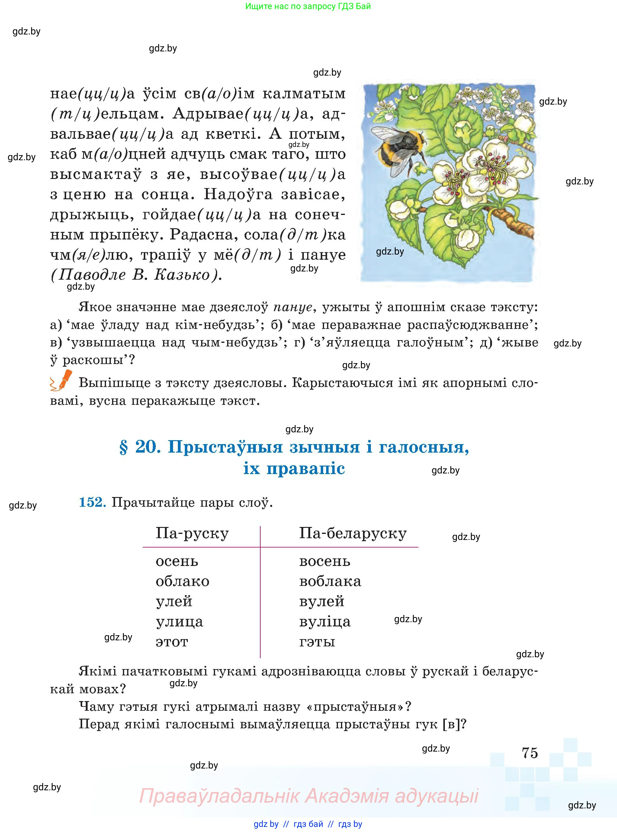 Белорусский язык (Беларуская мова), 5 класс Учебник, авторы: Валочка Ганна Міхайлаўна, Зелянко Вольга Уладзіміраўна, Мартынкевіч Святлана Васільеўна, Якуба Святлана Міхайлаўна, издательство Акадэмія адукацыі, Минск, 2024, голубого цвета, Частка 2, страница 75