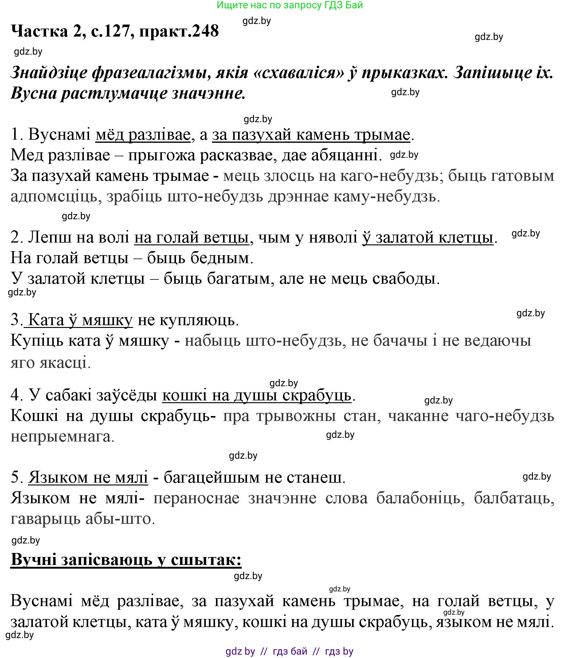 Белорусский язык (Беларуская мова), 5 класс Учебник, авторы: Валочка Ганна Міхайлаўна, Зелянко Вольга Уладзіміраўна, Мартынкевіч Святлана Васільеўна, Якуба Святлана Міхайлаўна, издательство Акадэмія адукацыі, Минск, 2024, голубого цвета, Частка 2, страница 127, номер 248, Решение