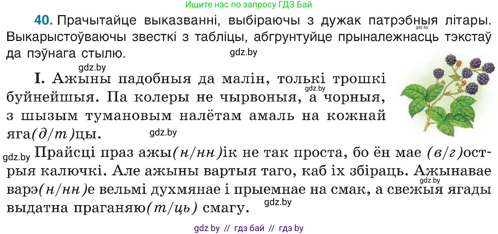 Белорусский язык (Беларуская мова), 6 класс Учебник, авторы: Валочка Ганна Міхайлаўна, Зелянко Вольга Уладзіміраўна, Мартынкевіч Святлана Васільеўна, Якуба Святлана Міхайлаўна, Бажкова Т І, издательство Акадэмія адукацыі, Минск, 2025, страница 27, номер 40, Условие 2025