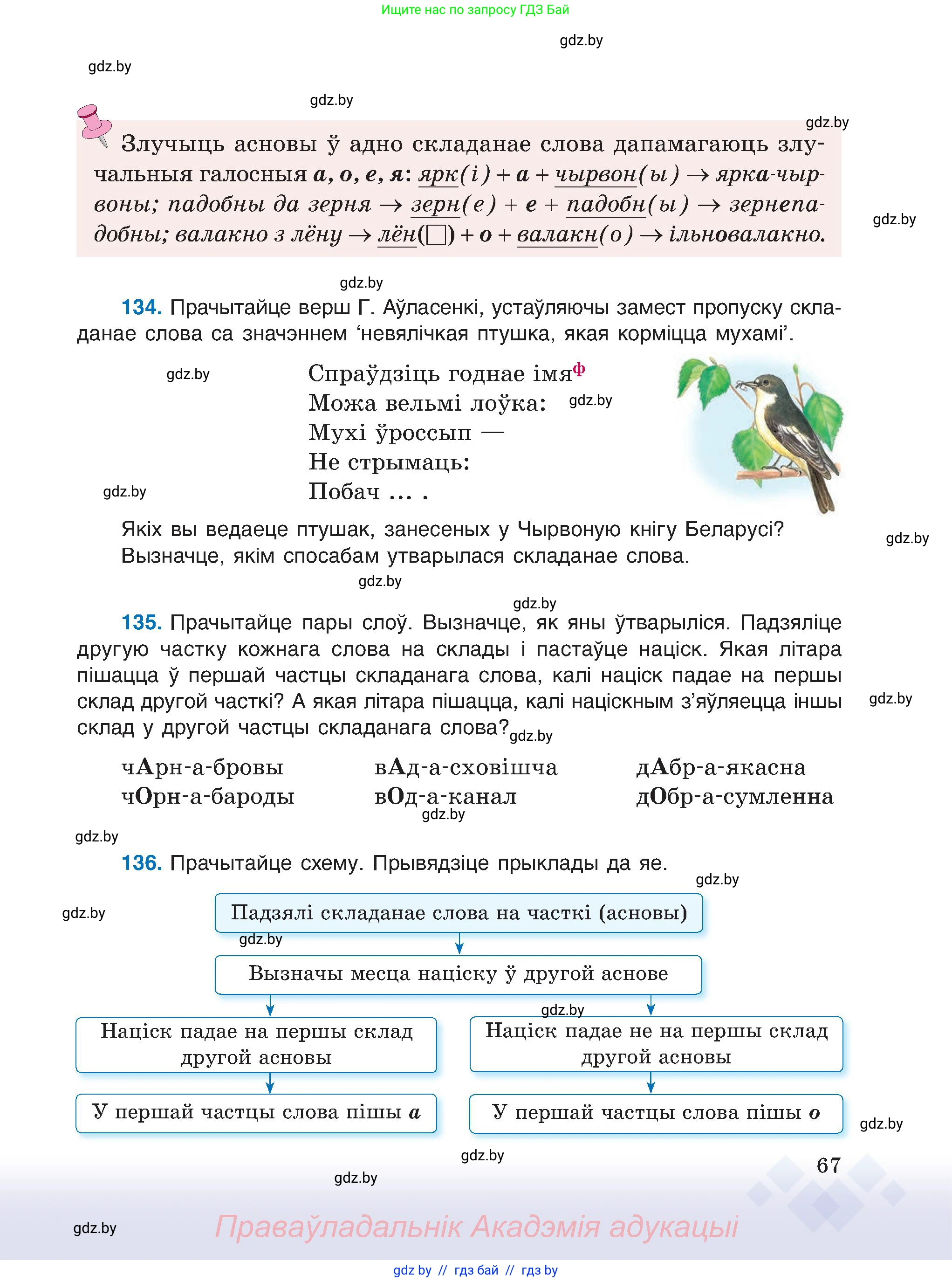 Белорусский язык (Беларуская мова), 6 класс Учебник, авторы: Валочка Ганна Міхайлаўна, Зелянко Вольга Уладзіміраўна, Мартынкевіч Святлана Васільеўна, Якуба Святлана Міхайлаўна, Бажкова Т І, издательство Акадэмія адукацыі, Минск, 2025, страница 67