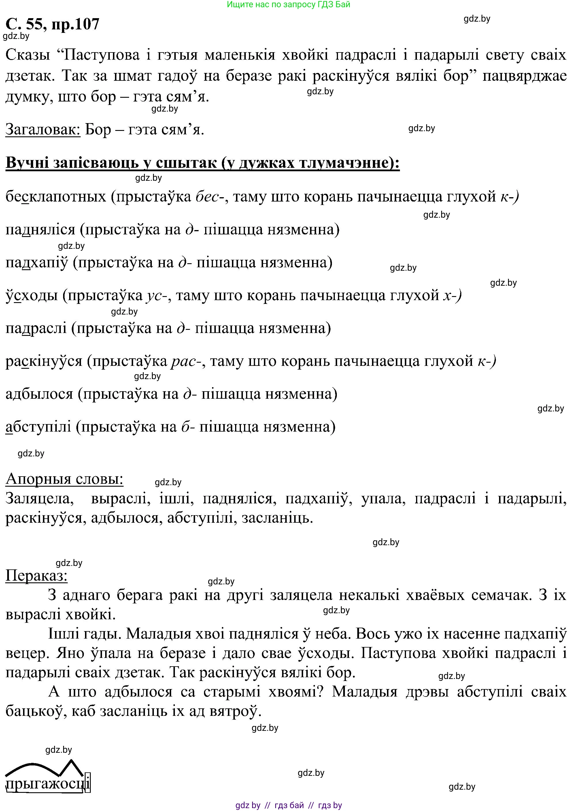 Белорусский язык (Беларуская мова), 6 класс Учебник, авторы: Валочка Ганна Міхайлаўна, Зелянко Вольга Уладзіміраўна, Мартынкевіч Святлана Васільеўна, Якуба Святлана Міхайлаўна, Бажкова Т І, издательство Акадэмія адукацыі, Минск, 2025, страница 55, номер 107, Решение