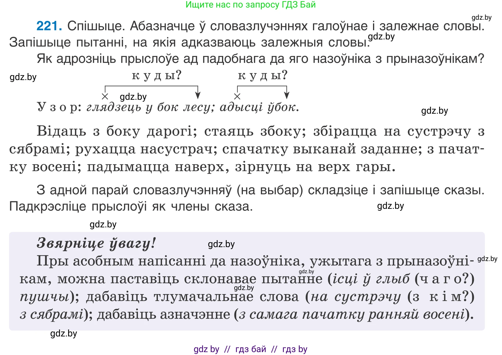 Белорусский язык (Беларуская мова), 7 класс Учебник, авторы: Валочка Ганна Міхайлаўна, Зелянко Вольга Уладзіміраўна, Язерская Святлана Анатольеўна, издательство Нацыянальны інстытут адукацыі, Минск, 2020, страница 125, номер 221, Условие