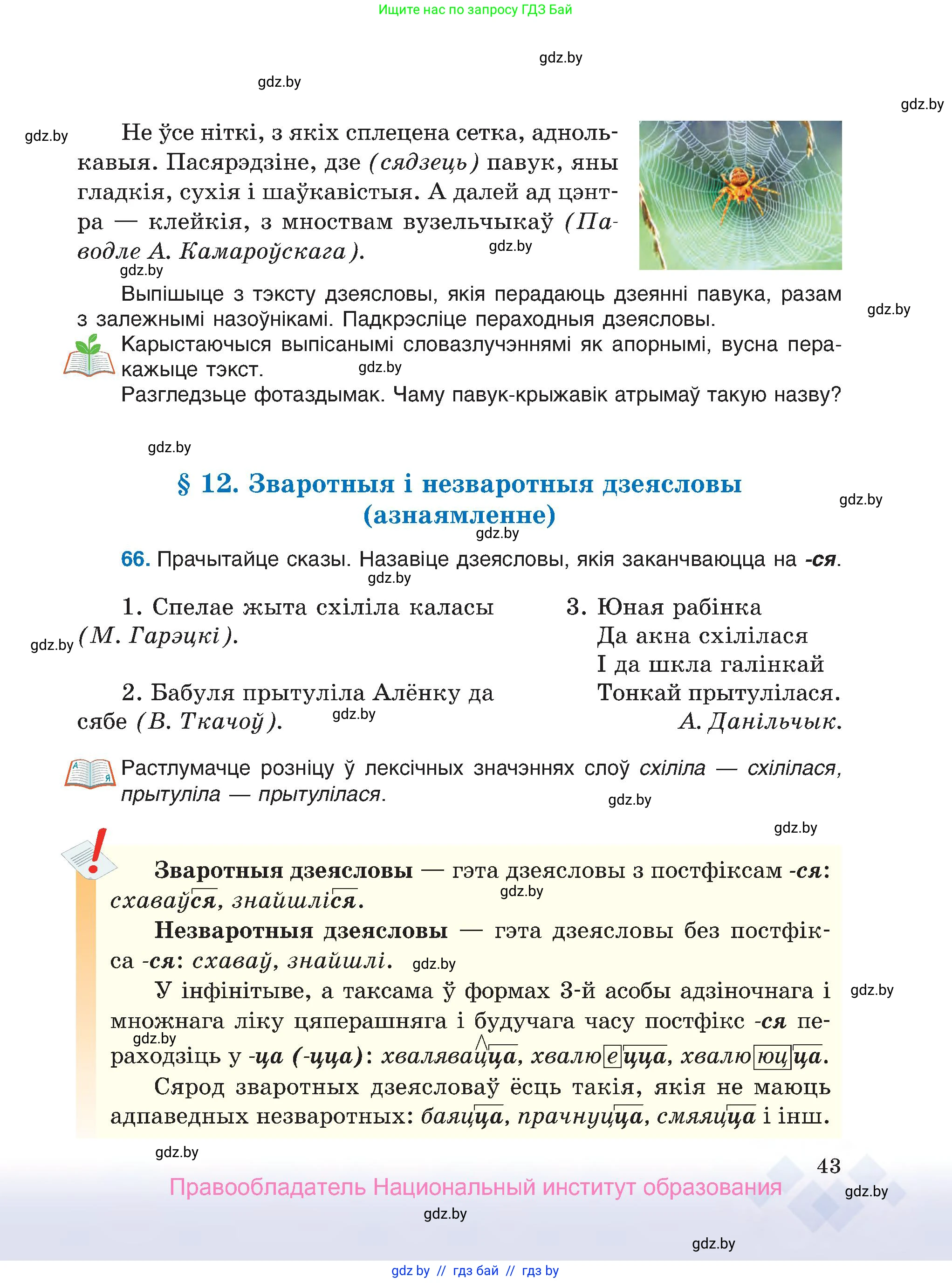 Белорусский язык (Беларуская мова), 7 класс Учебник, авторы: Валочка Ганна Міхайлаўна, Зелянко Вольга Уладзіміраўна, Язерская Святлана Анатольеўна, издательство Нацыянальны інстытут адукацыі, Минск, 2020, страница 43