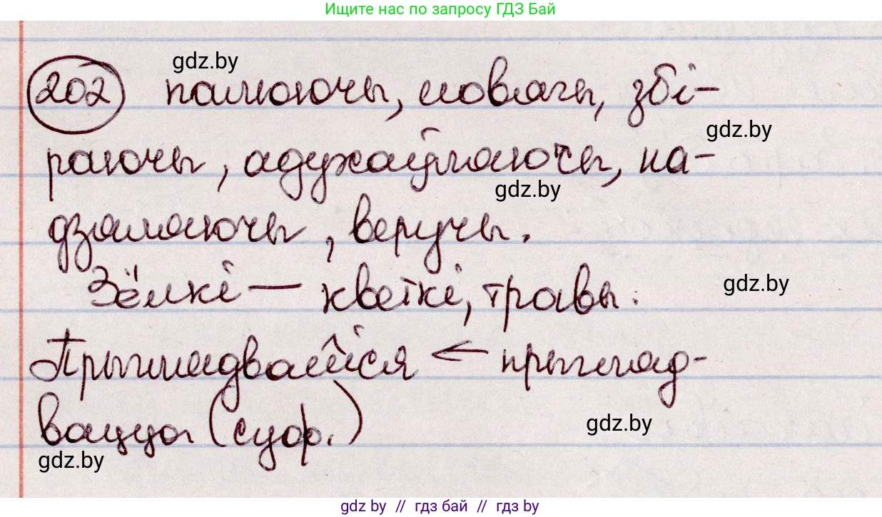 Белорусский язык (Беларуская мова), 7 класс Учебник, авторы: Валочка Ганна Міхайлаўна, Зелянко Вольга Уладзіміраўна, Язерская Святлана Анатольеўна, издательство Нацыянальны інстытут адукацыі, Минск, 2020, страница 114, номер 202, Решение
