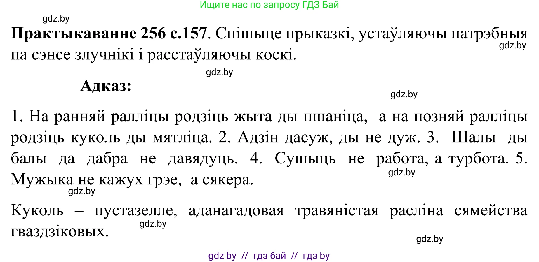 Белорусский язык (Беларуская мова), 8 класс Учебник, авторы: Бадзевіч Зінаіда Іванаўна, Саматыя Ірына Мікалаеўна, издательство Нацыянальны інстытут адукацыі, Минск, 2020, страница 157, номер 256, Решение