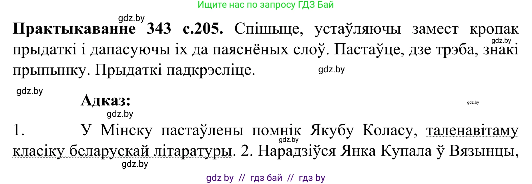 Белорусский язык (Беларуская мова), 8 класс Учебник, авторы: Бадзевіч Зінаіда Іванаўна, Саматыя Ірына Мікалаеўна, издательство Нацыянальны інстытут адукацыі, Минск, 2020, страница 205, номер 343, Решение