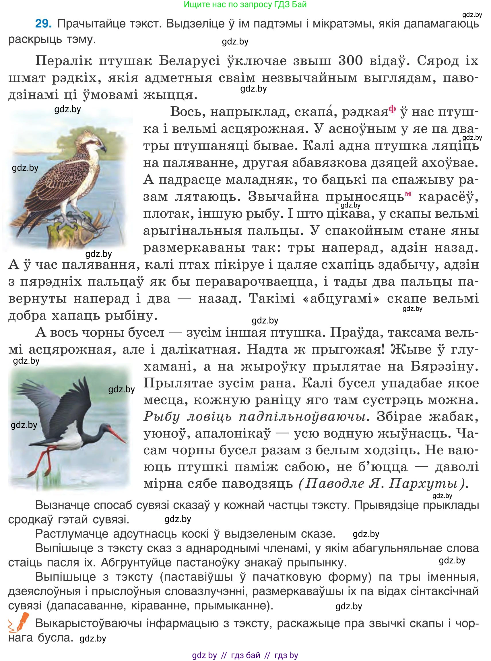 Белорусский язык (Беларуская мова), 9 класс Учебник, авторы: Валочка Ганна Міхайлаўна, Васюковіч Людміла Сяргееўна, Зелянко Вольга Уладзіміраўна, Якуба Святлана Міхайлаўна, Байкова С І, издательство Акадэмія адукацыі, Минск, 2025, сиреневого цвета, страница 24, номер 29, Условие 2025