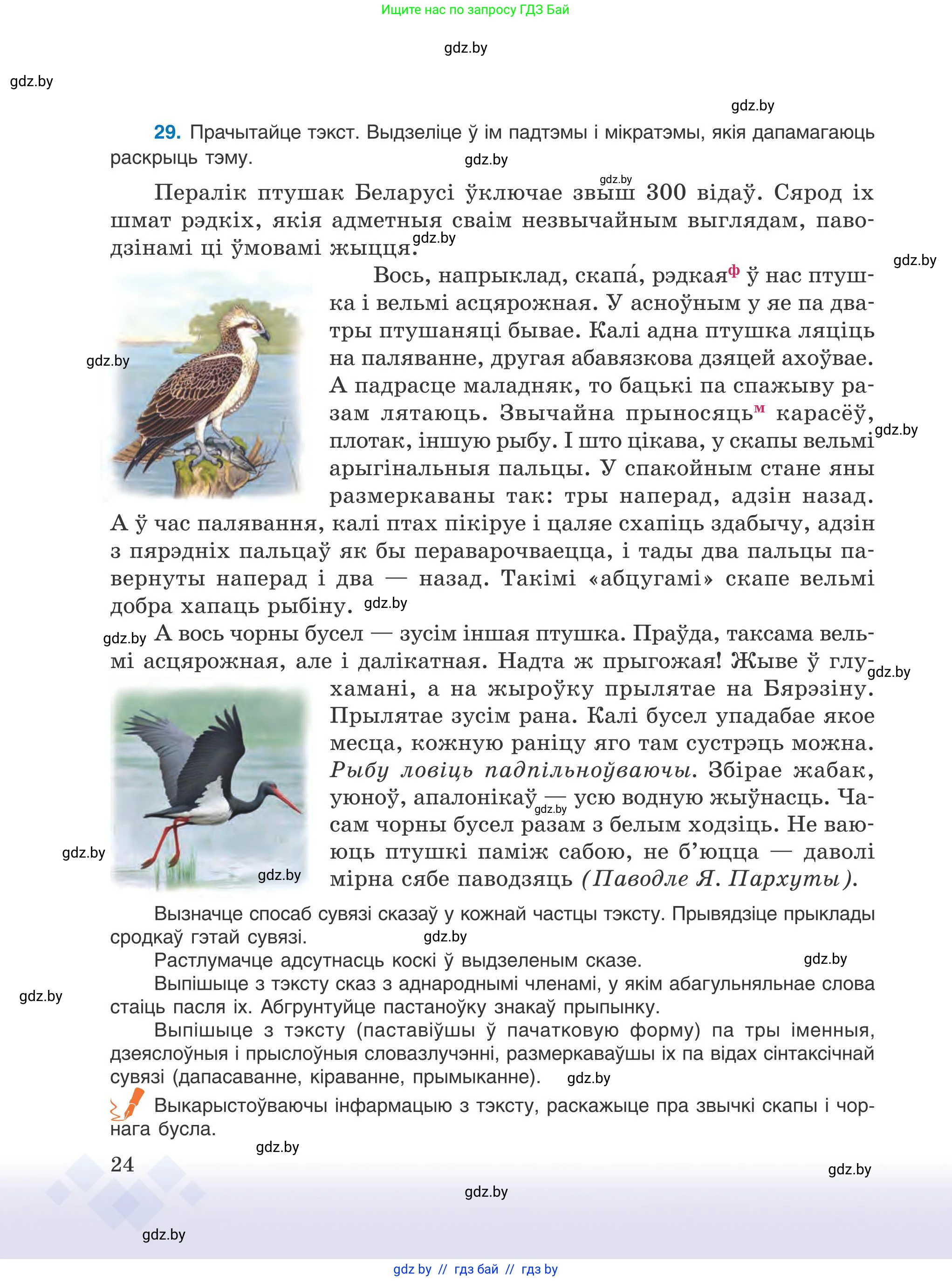 Белорусский язык (Беларуская мова), 9 класс Учебник, авторы: Валочка Ганна Міхайлаўна, Васюковіч Людміла Сяргееўна, Зелянко Вольга Уладзіміраўна, Якуба Святлана Міхайлаўна, Байкова С І, издательство Акадэмія адукацыі, Минск, 2025, сиреневого цвета, страница 24