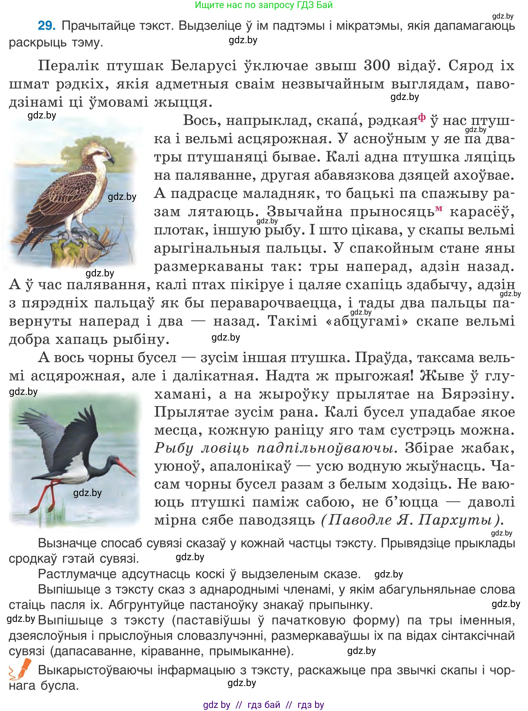 Белорусский язык (Беларуская мова), 9 класс Учебник, авторы: Валочка Ганна Міхайлаўна, Васюковіч Людміла Сяргееўна, Зелянко Вольга Уладзіміраўна, Якуба Святлана Міхайлаўна, Байкова С І, издательство Акадэмія адукацыі, Минск, 2025, сиреневого цвета, страница 24, номер 29, Условие 2025