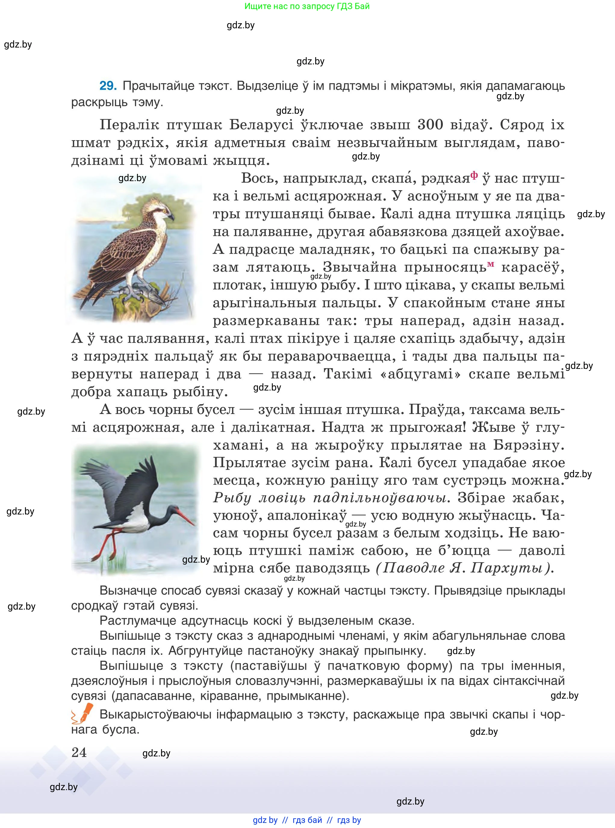 Условие 2025