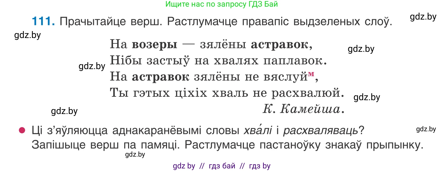 Белорусский язык (Беларуская мова), 10 класс Учебник, авторы: Валочка Ганна Міхайлаўна, Васюковіч Людміла Сяргееўна, Зелянко Вольга Уладзіміраўна, Міхнёнак С С, Якуба Святлана Міхайлаўна, издательство Нацыянальны інстытут адукацыі, Минск, 2020, страница 66, номер 111, Условие