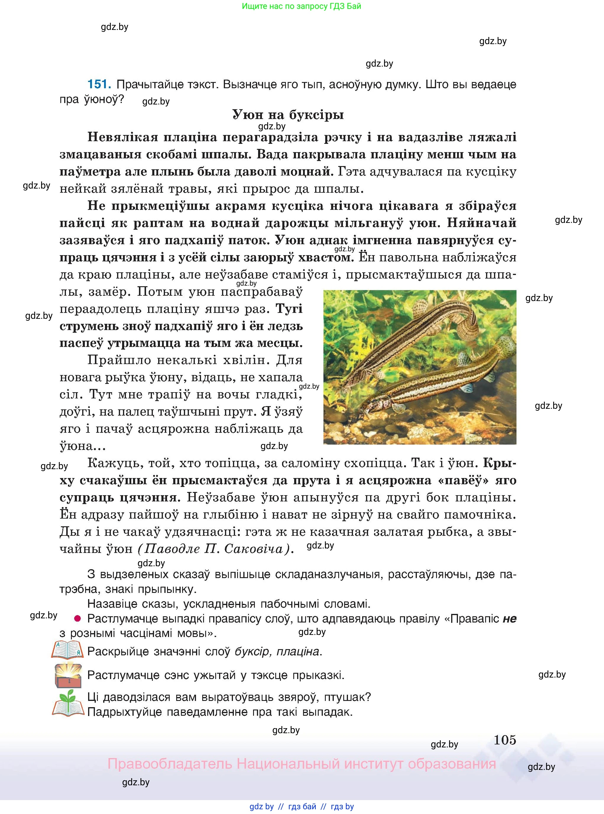 Белорусский язык (Беларуская мова), 11 класс Учебник, авторы: Валочка Ганна Міхайлаўна, Васюковіч Людміла Сяргееўна, Зелянко Вольга Уладзіміраўна, Міхнёнак С С, Якуба Святлана Міхайлаўна, издательство Нацыянальны інстытут адукацыі, Минск, 2021, страница 105