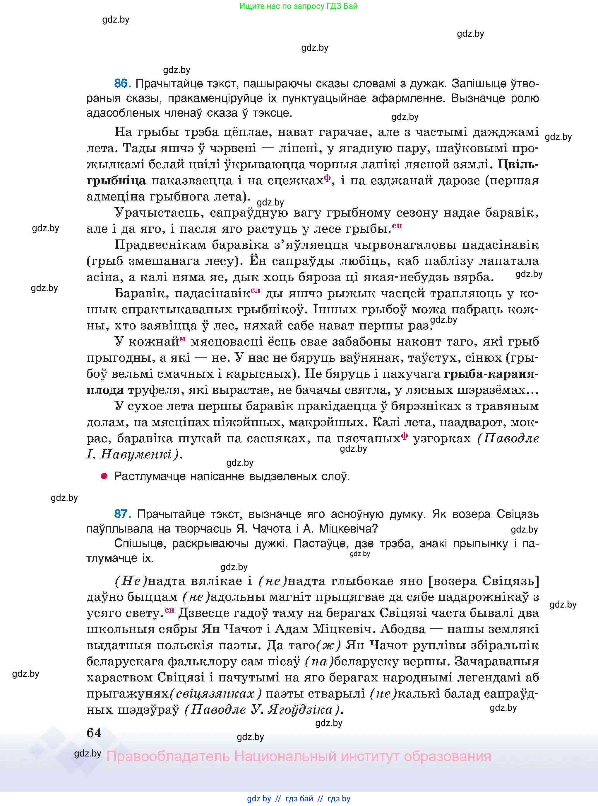 Белорусский язык (Беларуская мова), 11 класс Учебник, авторы: Валочка Ганна Міхайлаўна, Васюковіч Людміла Сяргееўна, Зелянко Вольга Уладзіміраўна, Міхнёнак С С, Якуба Святлана Міхайлаўна, издательство Нацыянальны інстытут адукацыі, Минск, 2021, страница 64