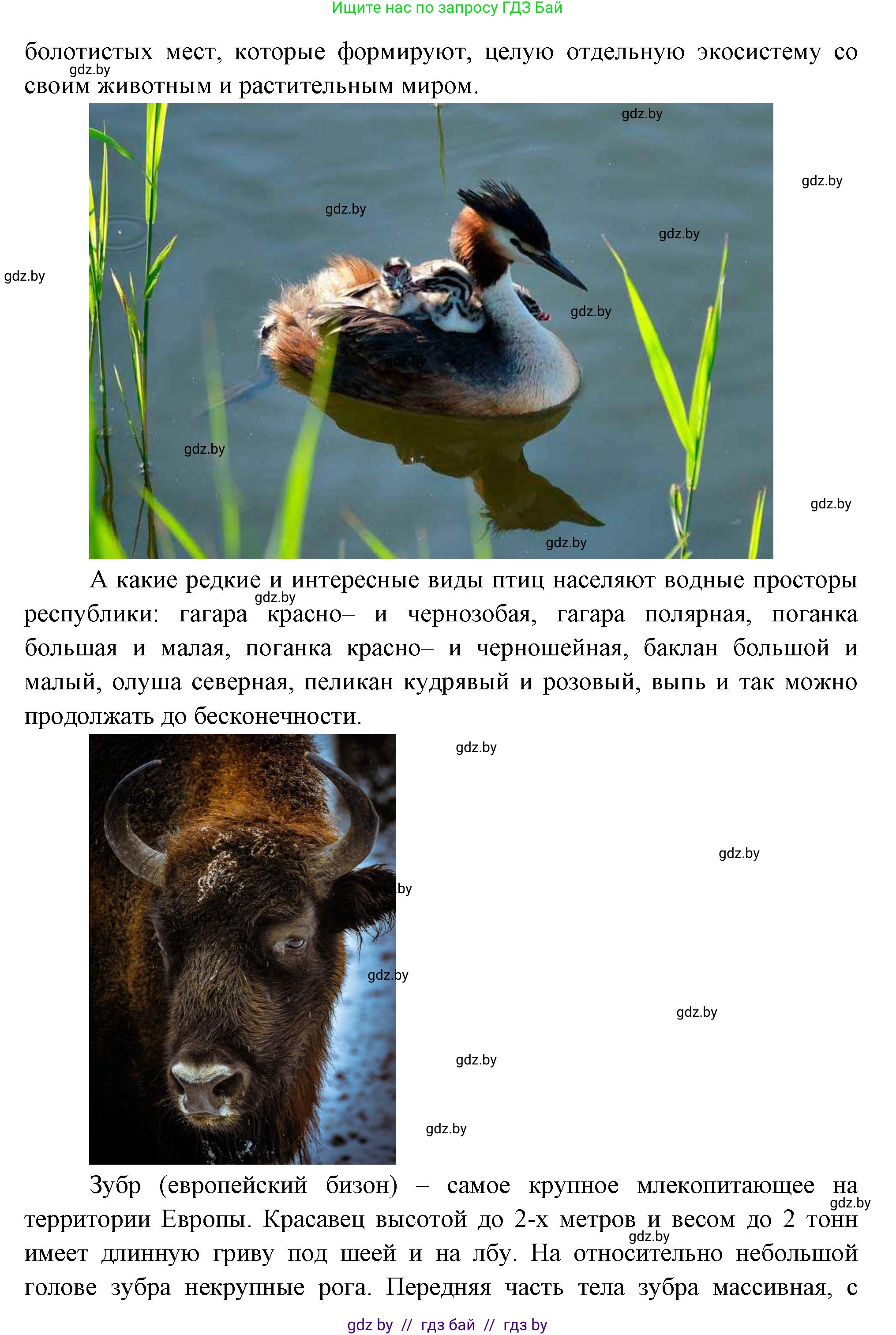 Биология, 6 класс рабочая тетрадь, авторы: Лисов Николай Дмитриевич, Борщевская Елена Валерьевна, издательство Аверсэв, Минск, 2021, жёлтого цвета, страница 7, номер 4, Решение (продолжение 2)