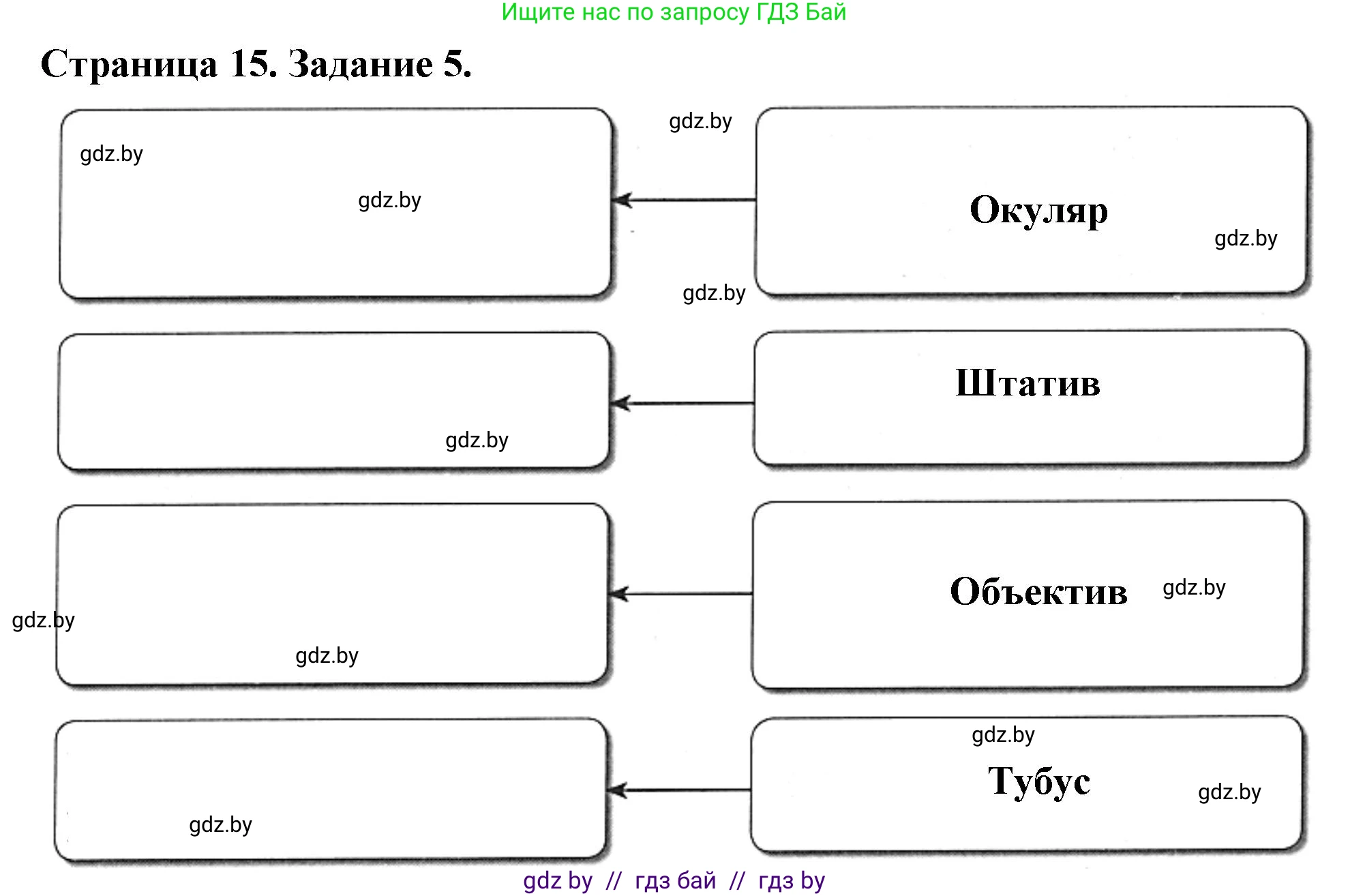 Биология, 6 класс рабочая тетрадь, авторы: Лисов Николай Дмитриевич, Борщевская Елена Валерьевна, издательство Аверсэв, Минск, 2021, жёлтого цвета, страница 15, номер 5, Решение