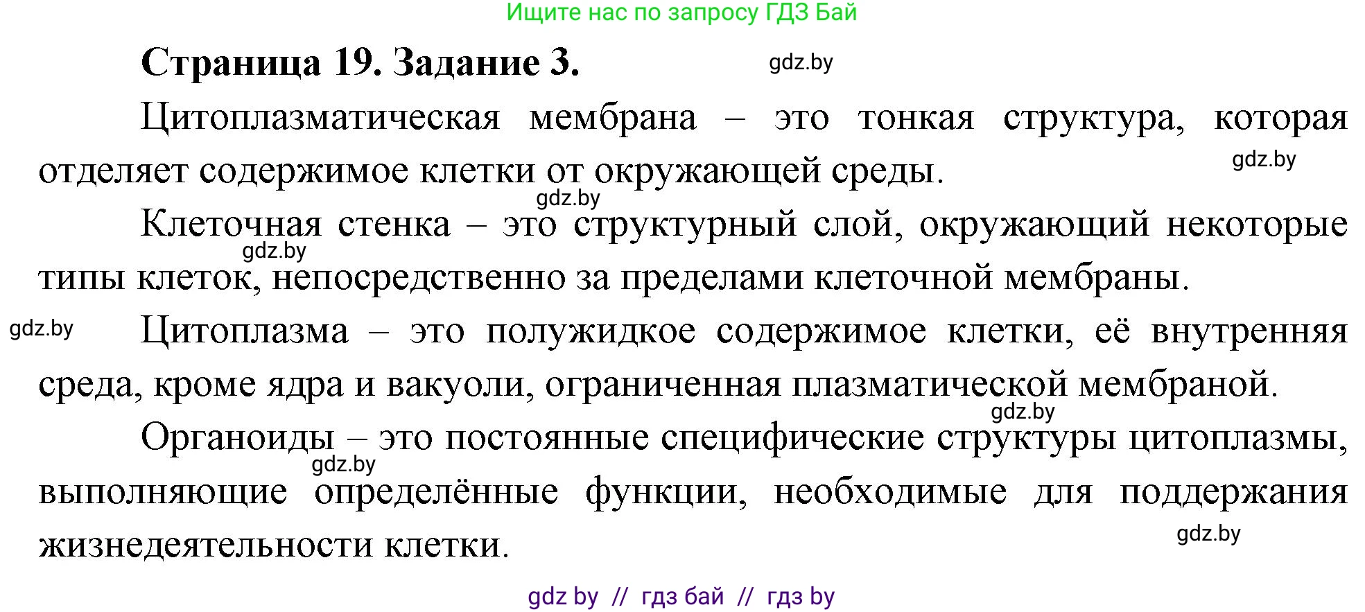 Биология, 6 класс рабочая тетрадь, авторы: Лисов Николай Дмитриевич, Борщевская Елена Валерьевна, издательство Аверсэв, Минск, 2021, жёлтого цвета, страница 19, номер 3, Решение
