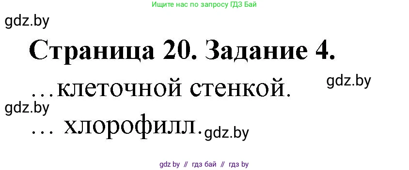 Биология, 6 класс рабочая тетрадь, авторы: Лисов Николай Дмитриевич, Борщевская Елена Валерьевна, издательство Аверсэв, Минск, 2021, жёлтого цвета, страница 20, номер 4, Решение