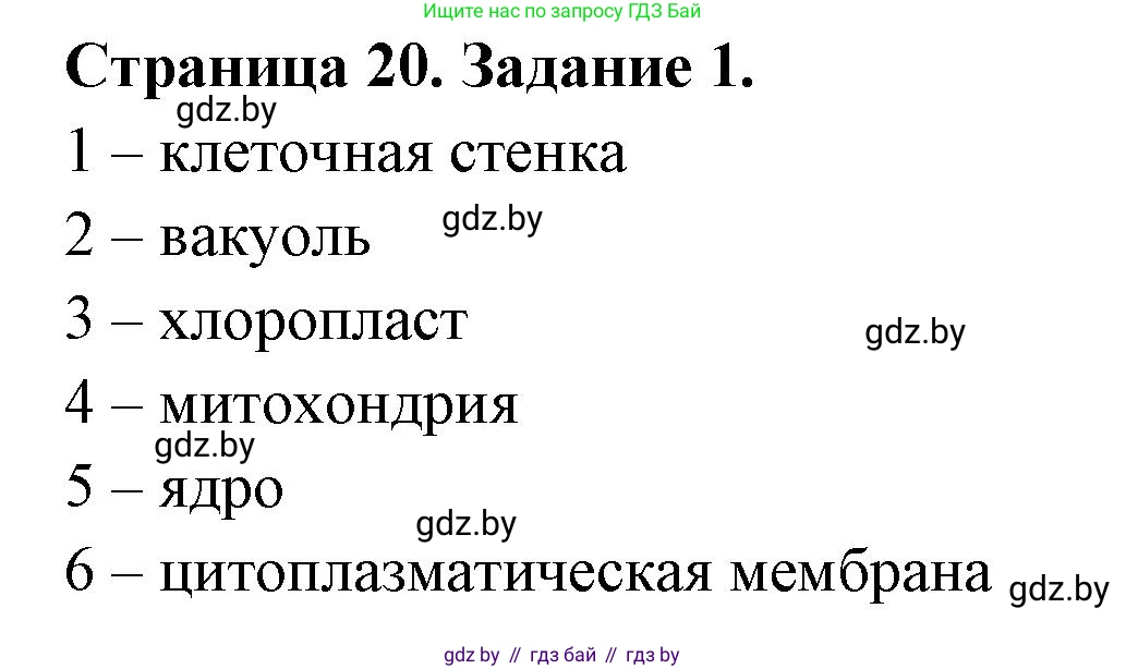 Биология, 6 класс рабочая тетрадь, авторы: Лисов Николай Дмитриевич, Борщевская Елена Валерьевна, издательство Аверсэв, Минск, 2021, жёлтого цвета, страница 20, номер 1, Решение