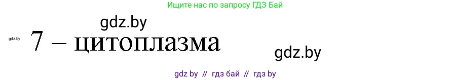Биология, 6 класс рабочая тетрадь, авторы: Лисов Николай Дмитриевич, Борщевская Елена Валерьевна, издательство Аверсэв, Минск, 2021, жёлтого цвета, страница 20, номер 1, Решение (продолжение 2)