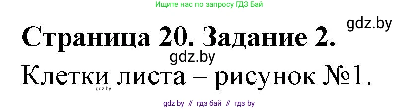 Биология, 6 класс рабочая тетрадь, авторы: Лисов Николай Дмитриевич, Борщевская Елена Валерьевна, издательство Аверсэв, Минск, 2021, жёлтого цвета, страница 20, номер 2, Решение
