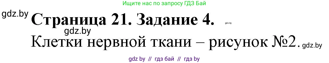Биология, 6 класс рабочая тетрадь, авторы: Лисов Николай Дмитриевич, Борщевская Елена Валерьевна, издательство Аверсэв, Минск, 2021, жёлтого цвета, страница 21, номер 4, Решение