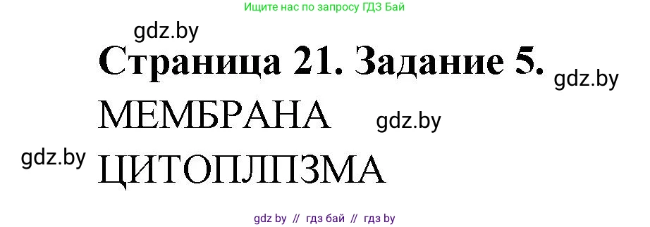 Биология, 6 класс рабочая тетрадь, авторы: Лисов Николай Дмитриевич, Борщевская Елена Валерьевна, издательство Аверсэв, Минск, 2021, жёлтого цвета, страница 21, номер 5, Решение