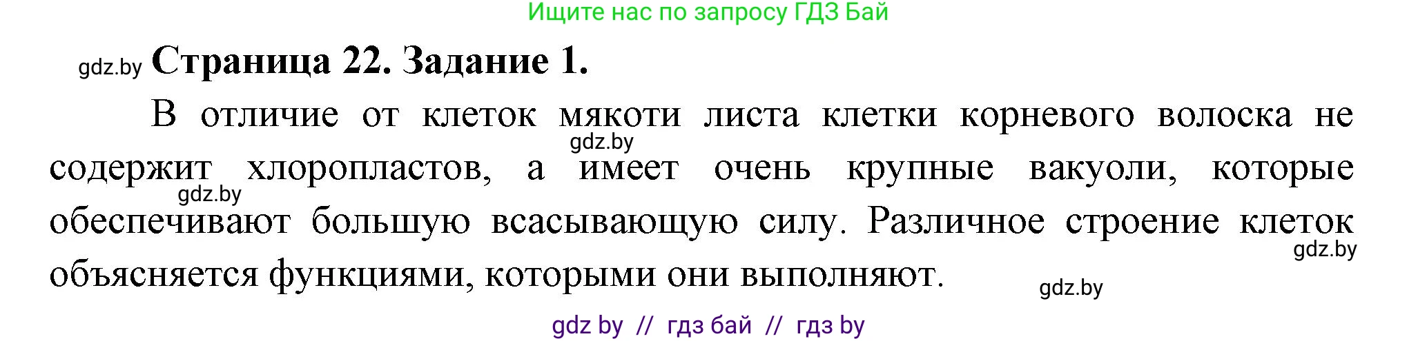 Биология, 6 класс рабочая тетрадь, авторы: Лисов Николай Дмитриевич, Борщевская Елена Валерьевна, издательство Аверсэв, Минск, 2021, жёлтого цвета, страница 22, номер 1, Решение