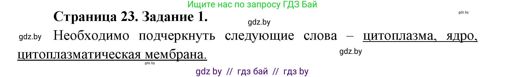 Биология, 6 класс рабочая тетрадь, авторы: Лисов Николай Дмитриевич, Борщевская Елена Валерьевна, издательство Аверсэв, Минск, 2021, жёлтого цвета, страница 23, номер 1, Решение