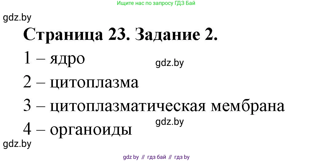 Биология, 6 класс рабочая тетрадь, авторы: Лисов Николай Дмитриевич, Борщевская Елена Валерьевна, издательство Аверсэв, Минск, 2021, жёлтого цвета, страница 23, номер 2, Решение