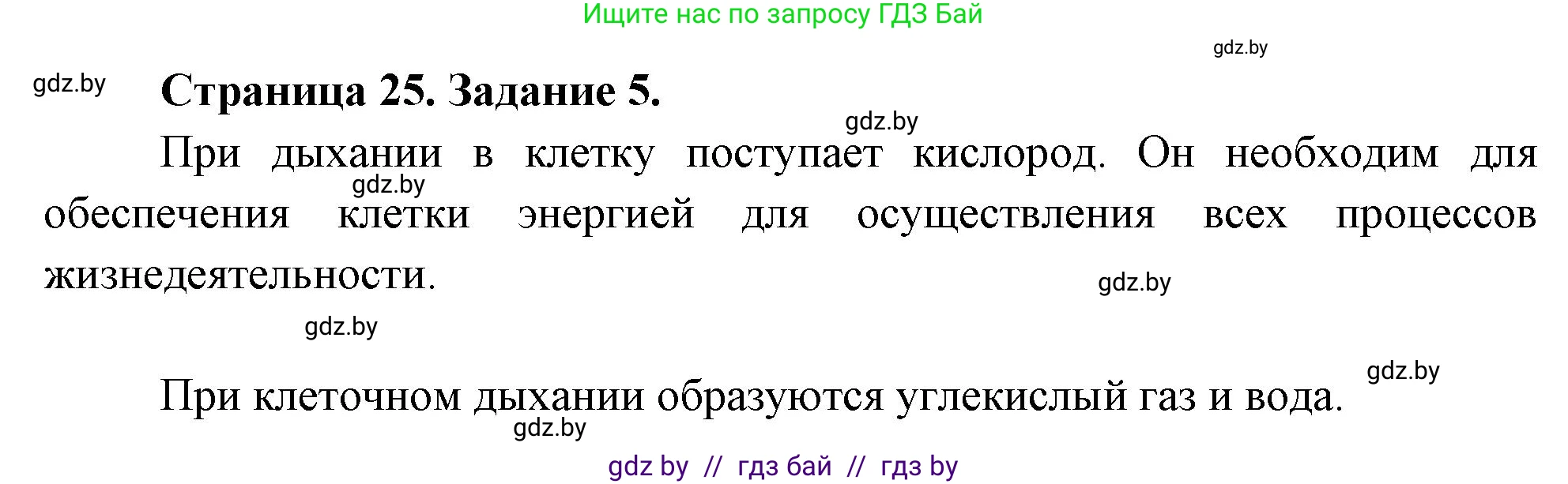 Биология, 6 класс рабочая тетрадь, авторы: Лисов Николай Дмитриевич, Борщевская Елена Валерьевна, издательство Аверсэв, Минск, 2021, жёлтого цвета, страница 25, номер 5, Решение