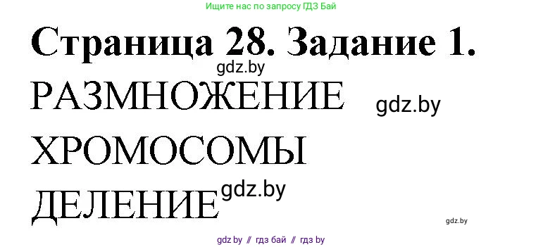 Биология, 6 класс рабочая тетрадь, авторы: Лисов Николай Дмитриевич, Борщевская Елена Валерьевна, издательство Аверсэв, Минск, 2021, жёлтого цвета, страница 28, номер 1, Решение